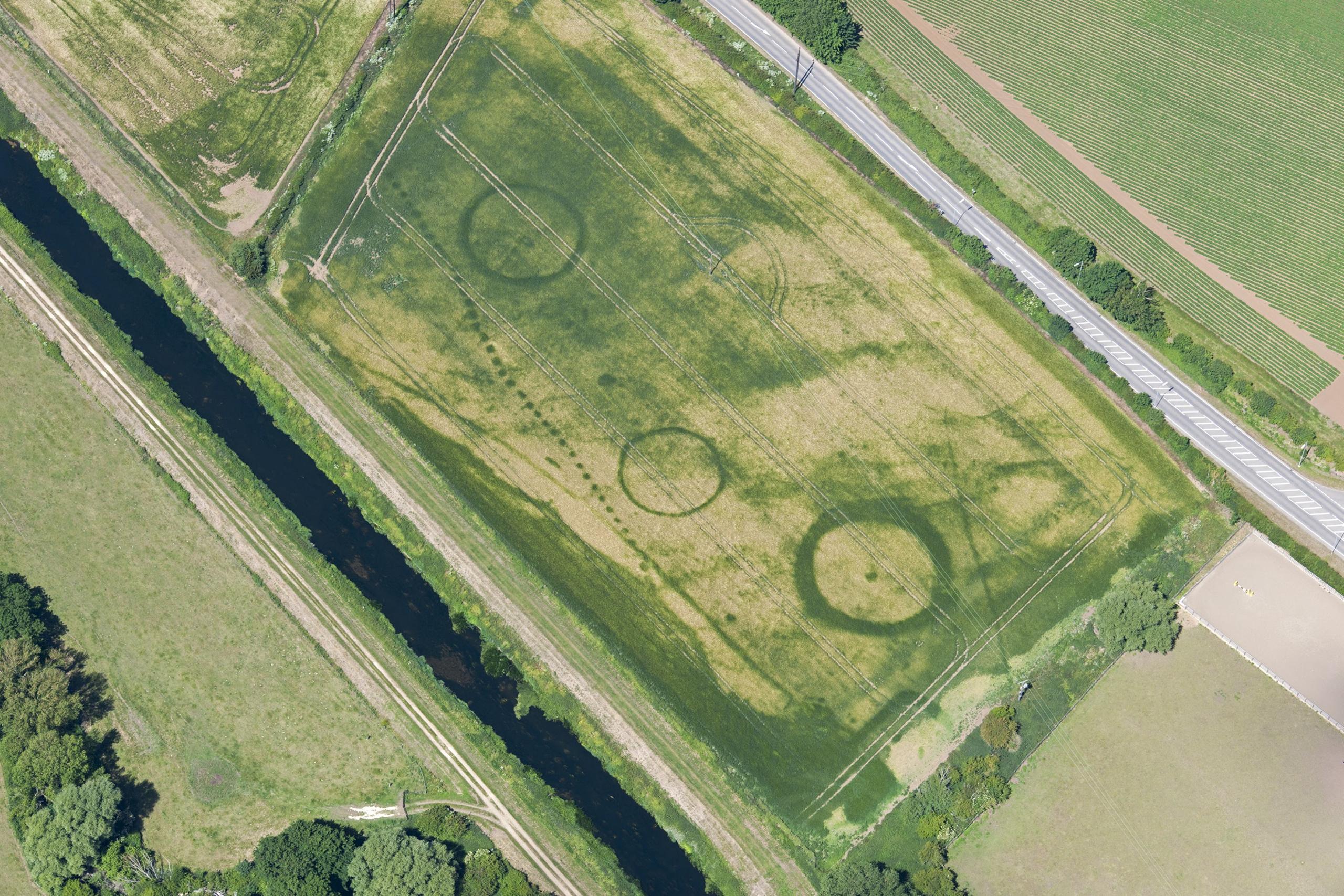 Crop circles and lines in a green field