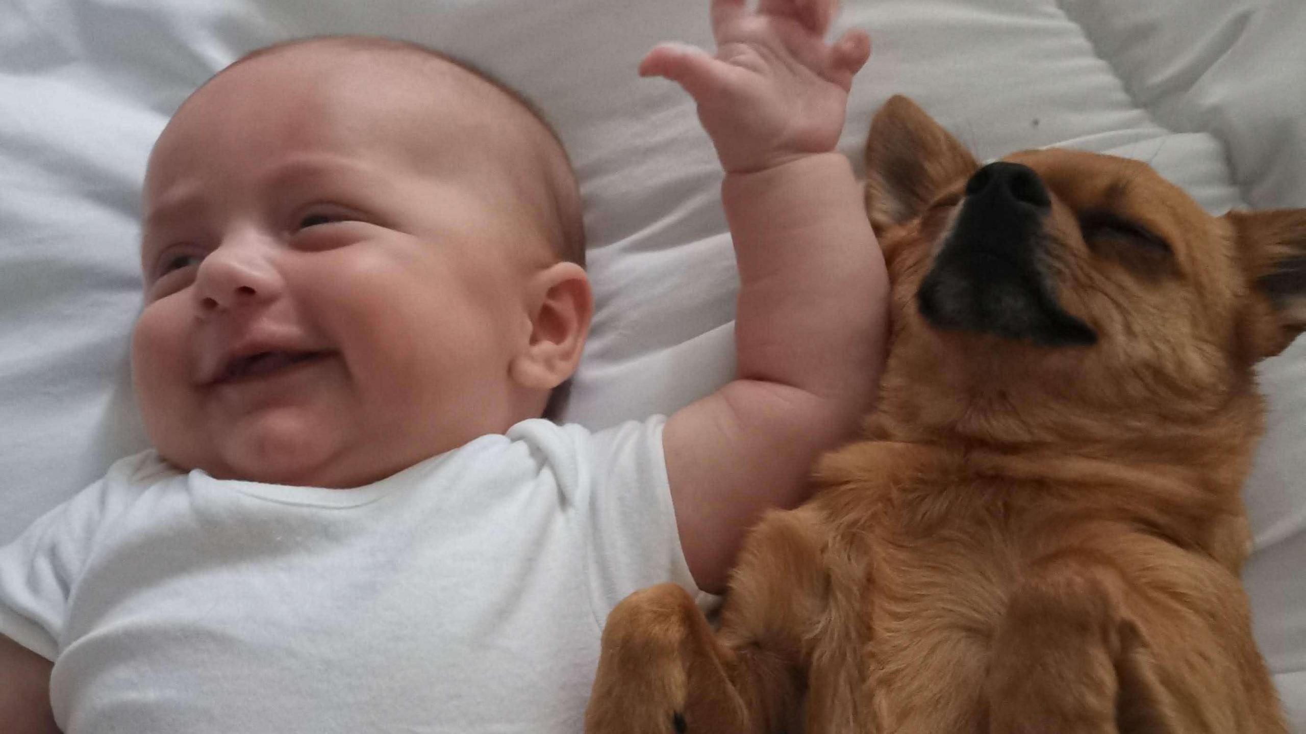 A baby and a dog lie side by side on white bed linen. The baby is wearing a white babygrow.