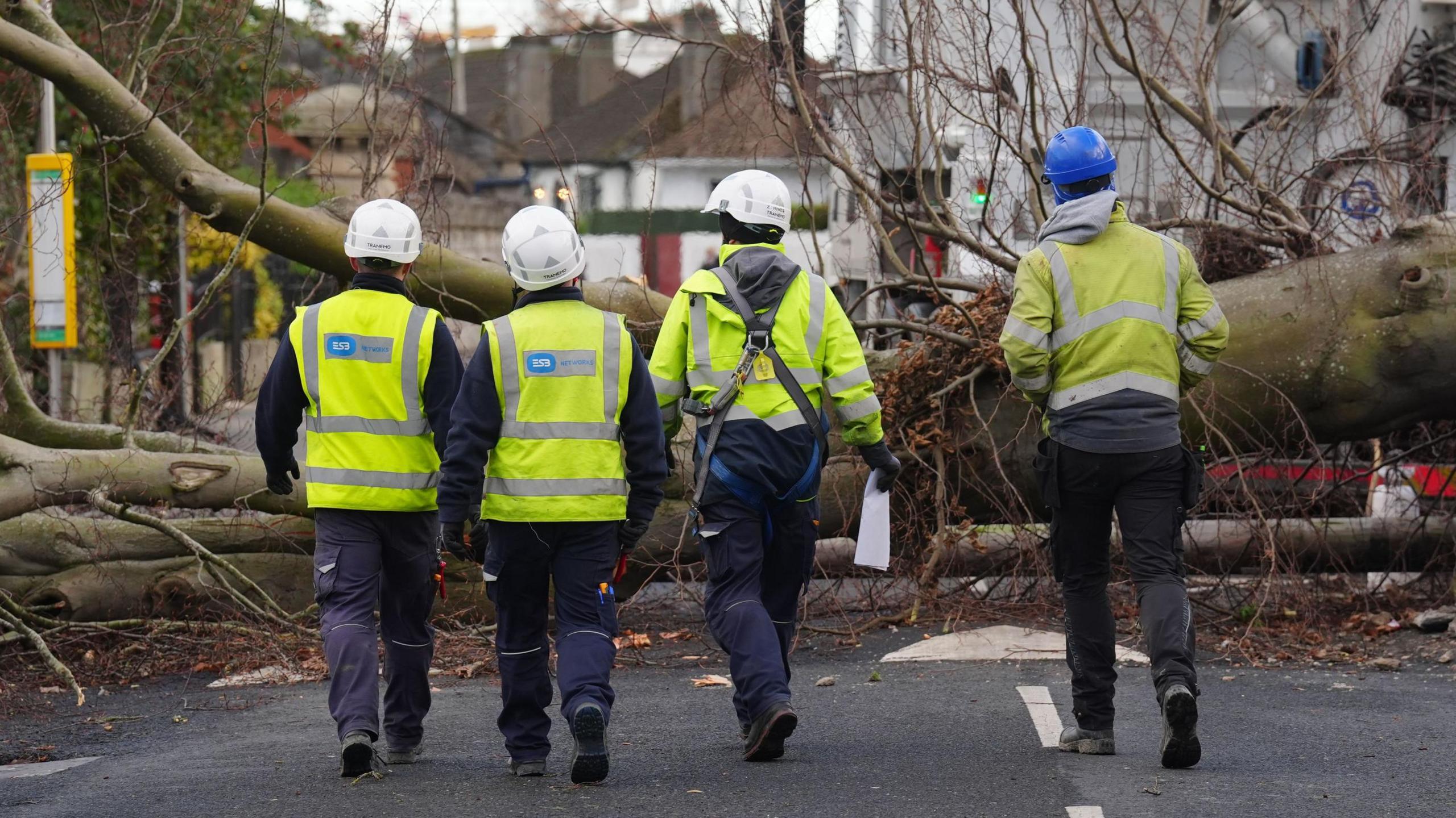 4 workers survey a fallen tree which lies across a black tarmac road. They all wear Hi-Viz jackets and helmets. There backs are to the camera, the man on the far right of the four has on a blue helmet, the other's are white. A white lorry lies, partially hidden, on the other side of the tree.