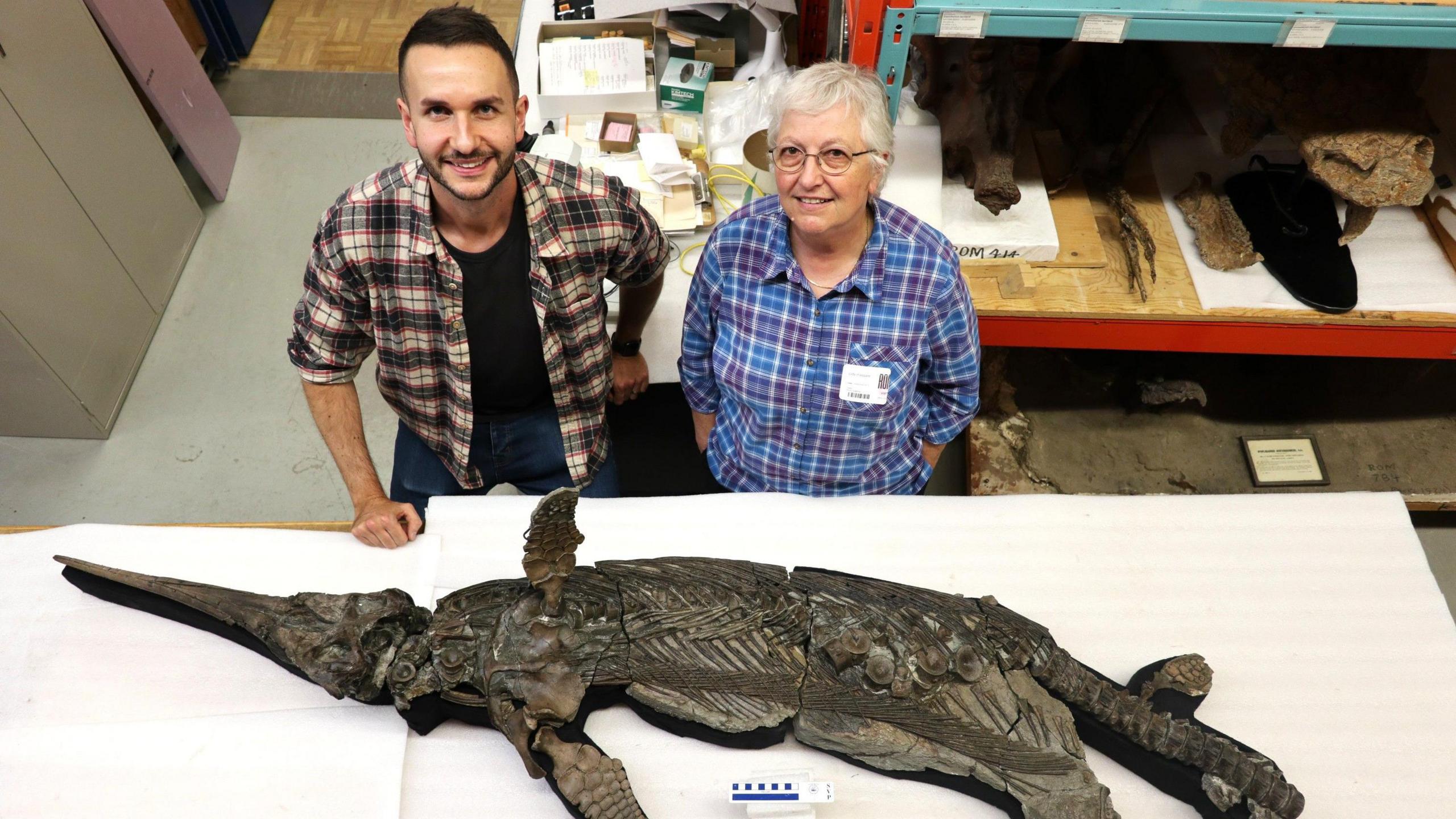 two people, a man and a woman, stand by a table on which is a long fossil of a reptile