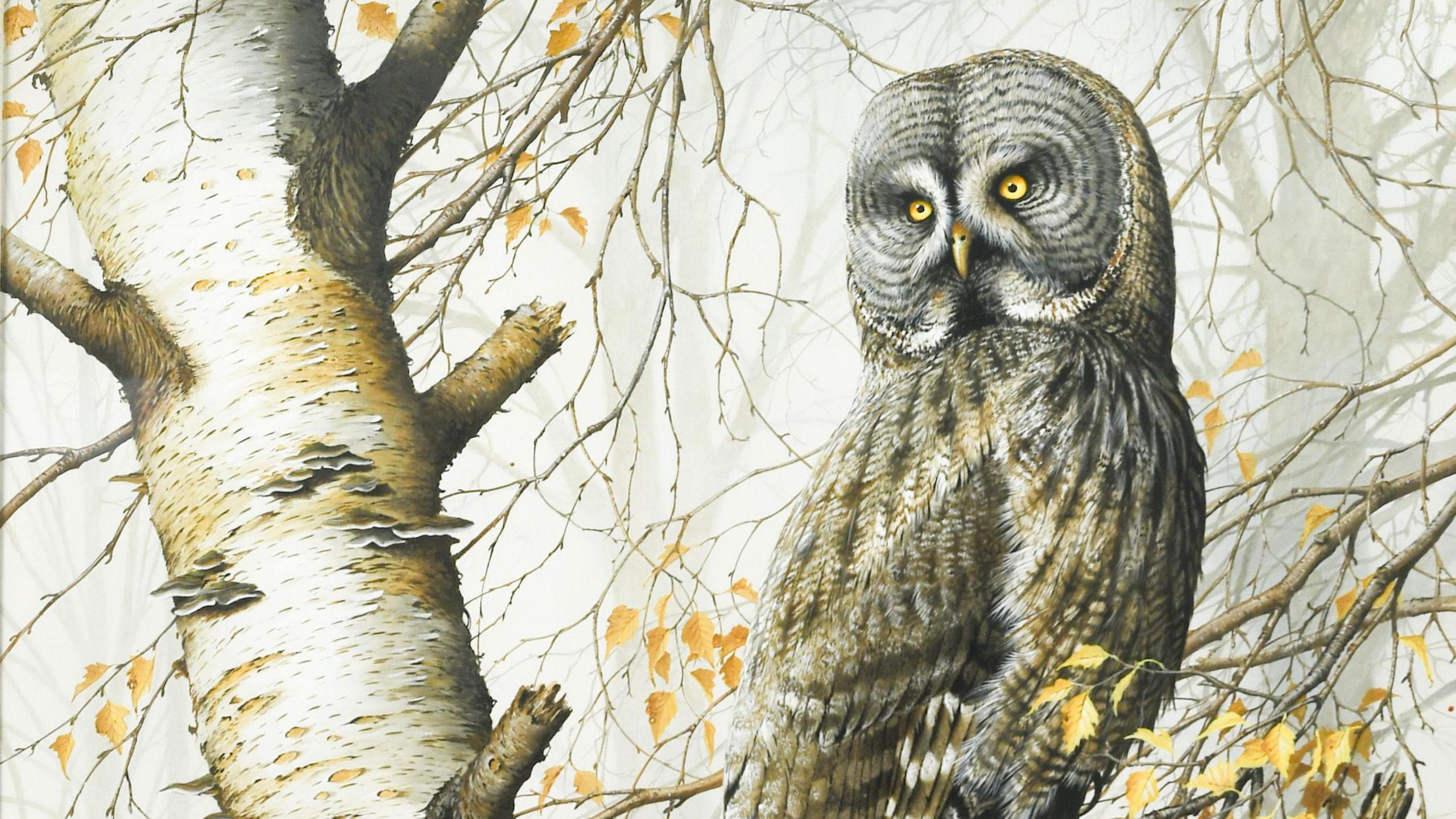 A Great Grey owl is painted sitting in a tree that has lost its leaves during the autumn. The owl has a large head, small eyes and has feathers that are a light brown colour with some darker and lighter spots.