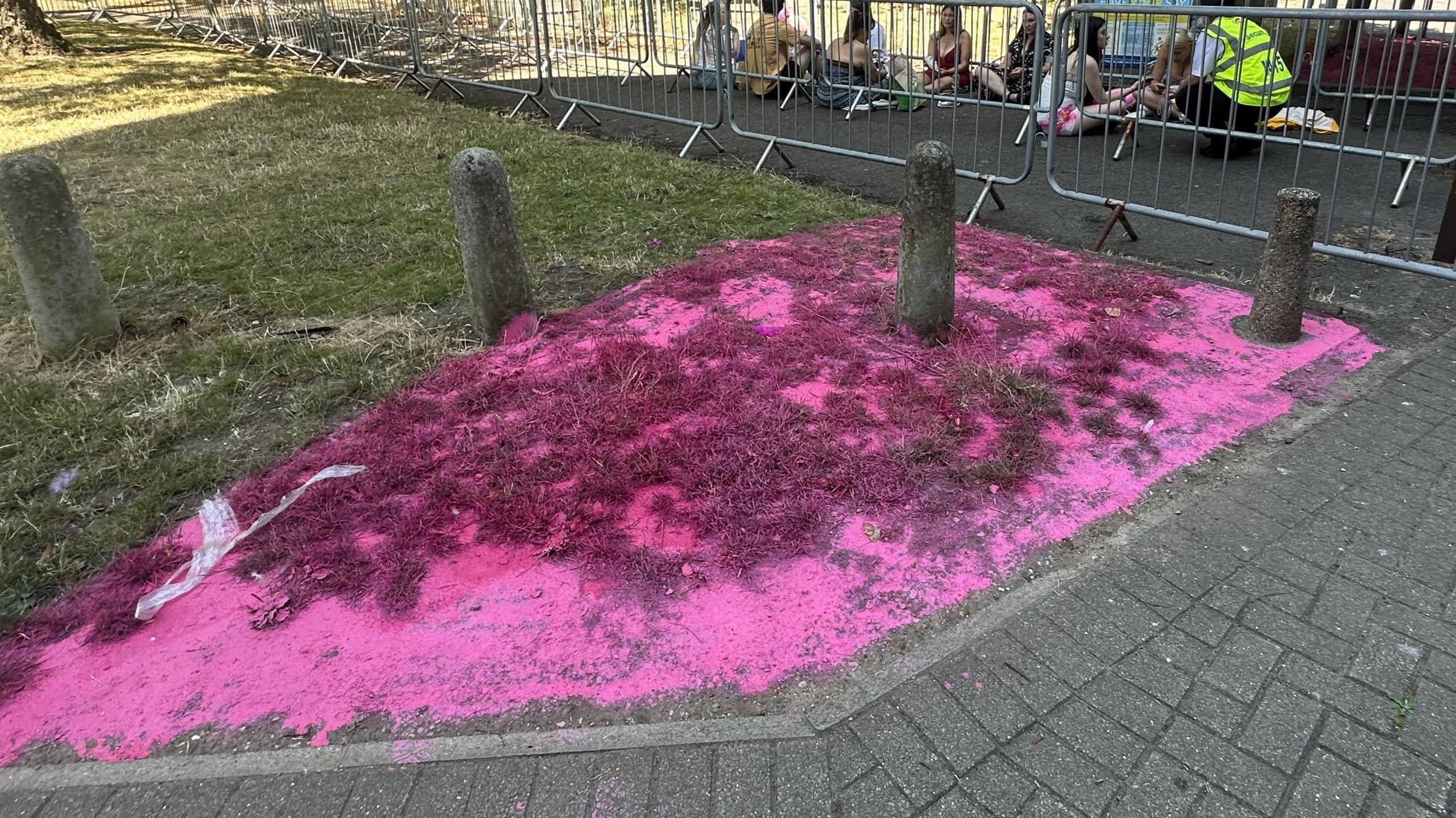A grassed area that has been dyed pink.
