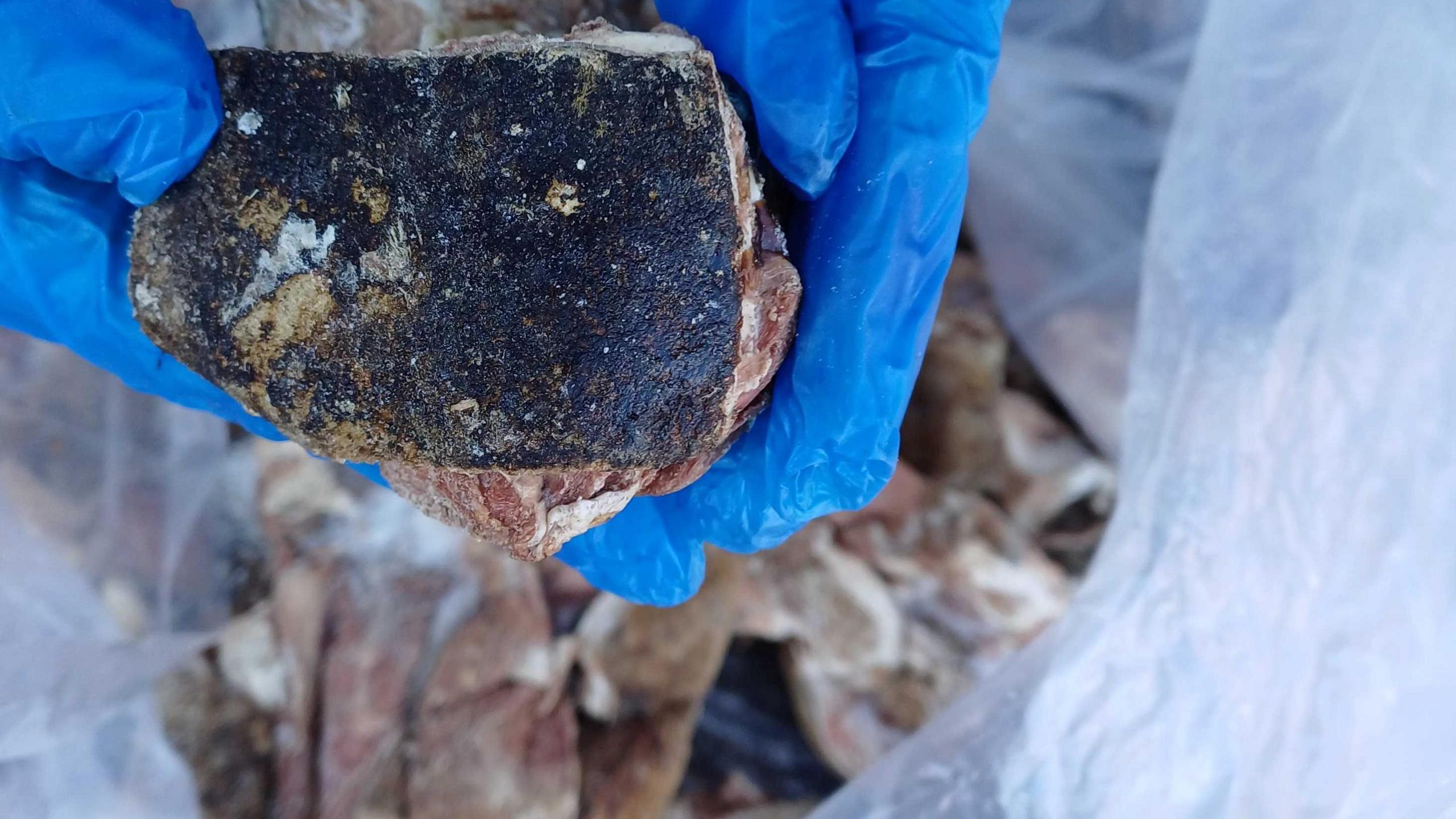 An image of frozen meat products - one being held by hands, photographed close up, in blue gloves