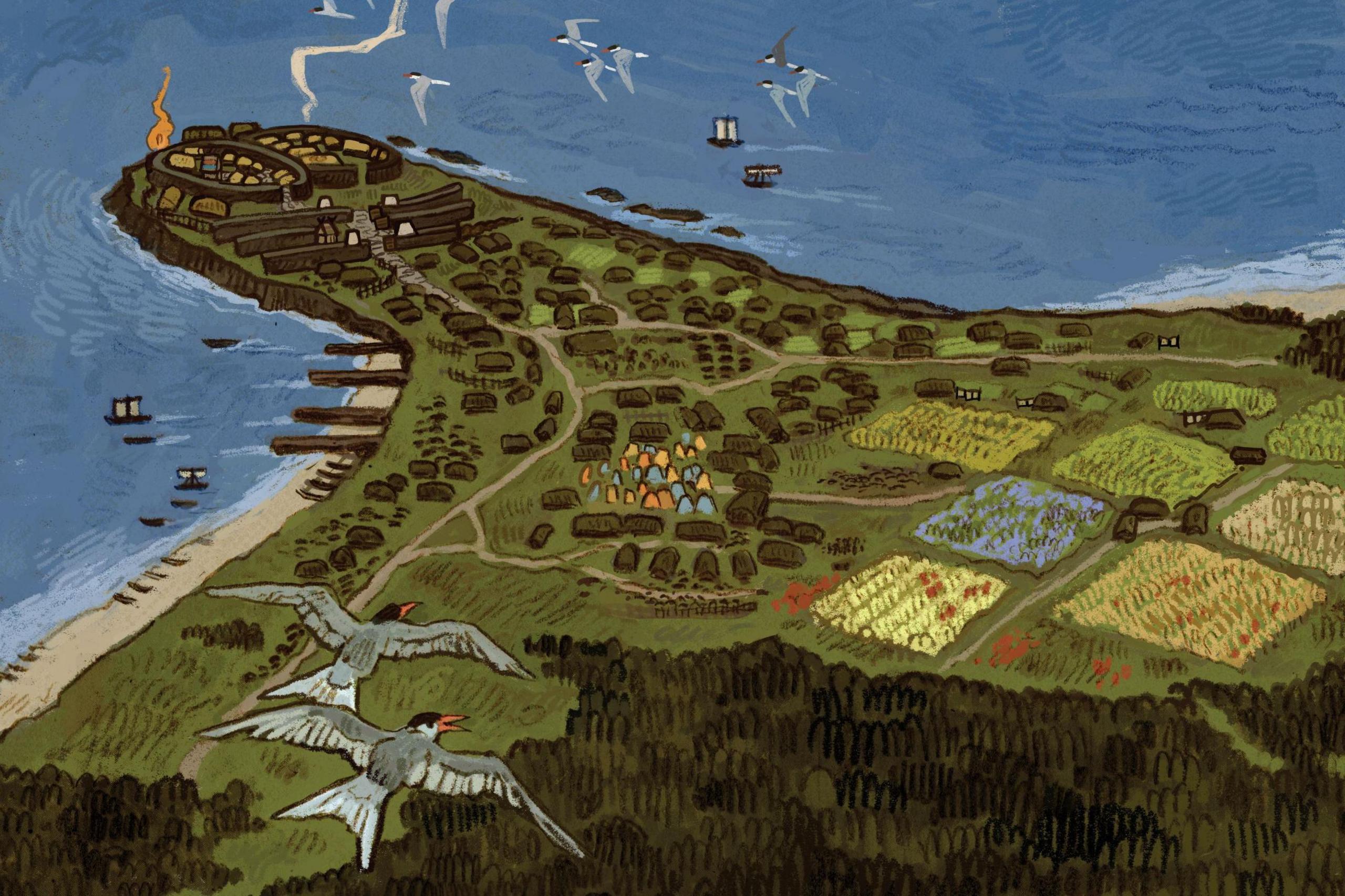 An illustration providing a bird's eye view of the Pictish settlement at Burghead. There are huts and a hillfort on a piece of land that sticks out into the sea. Sea birds - terns - fly overhead.