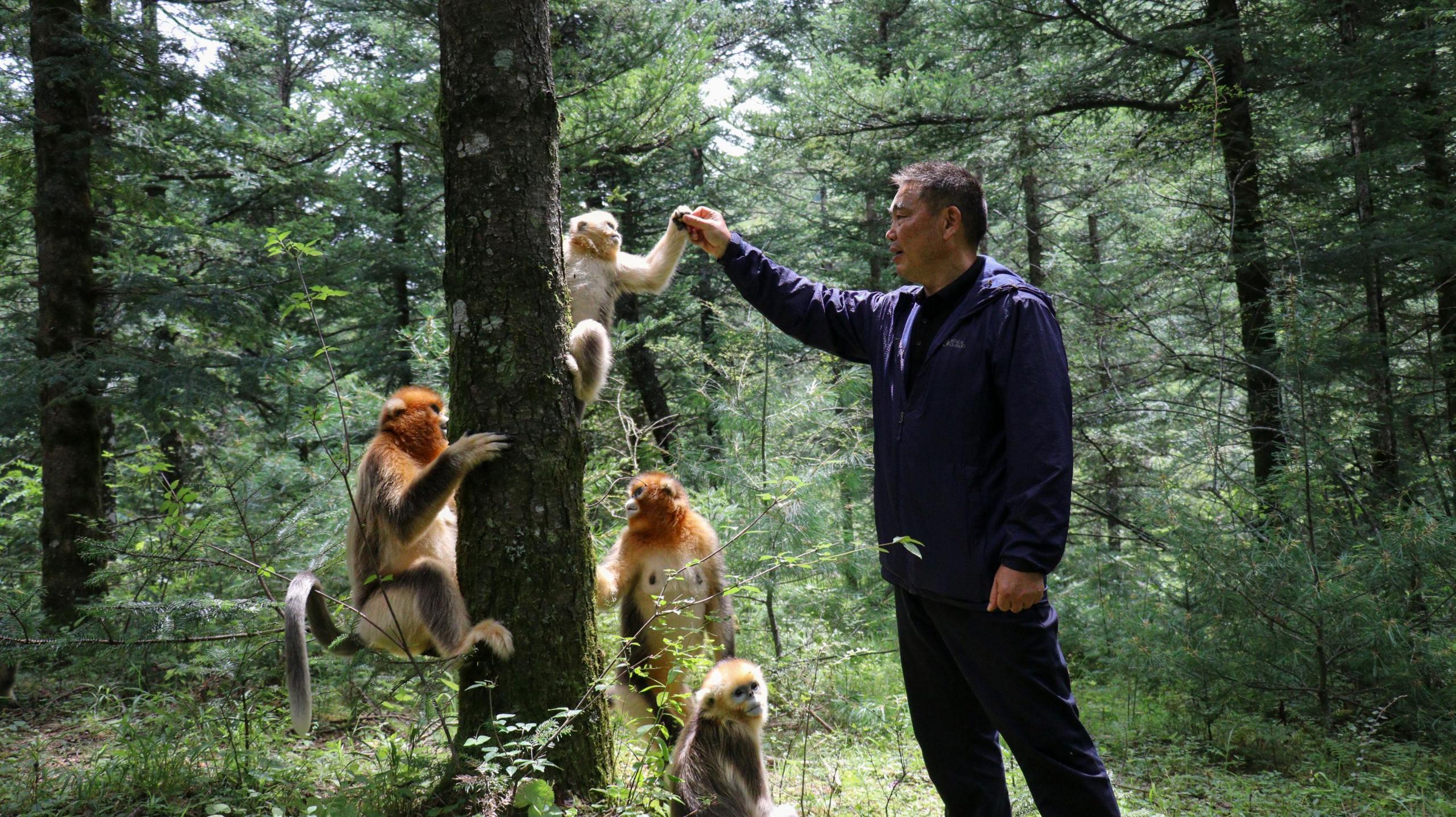 Prof Yang pictured with monkeys