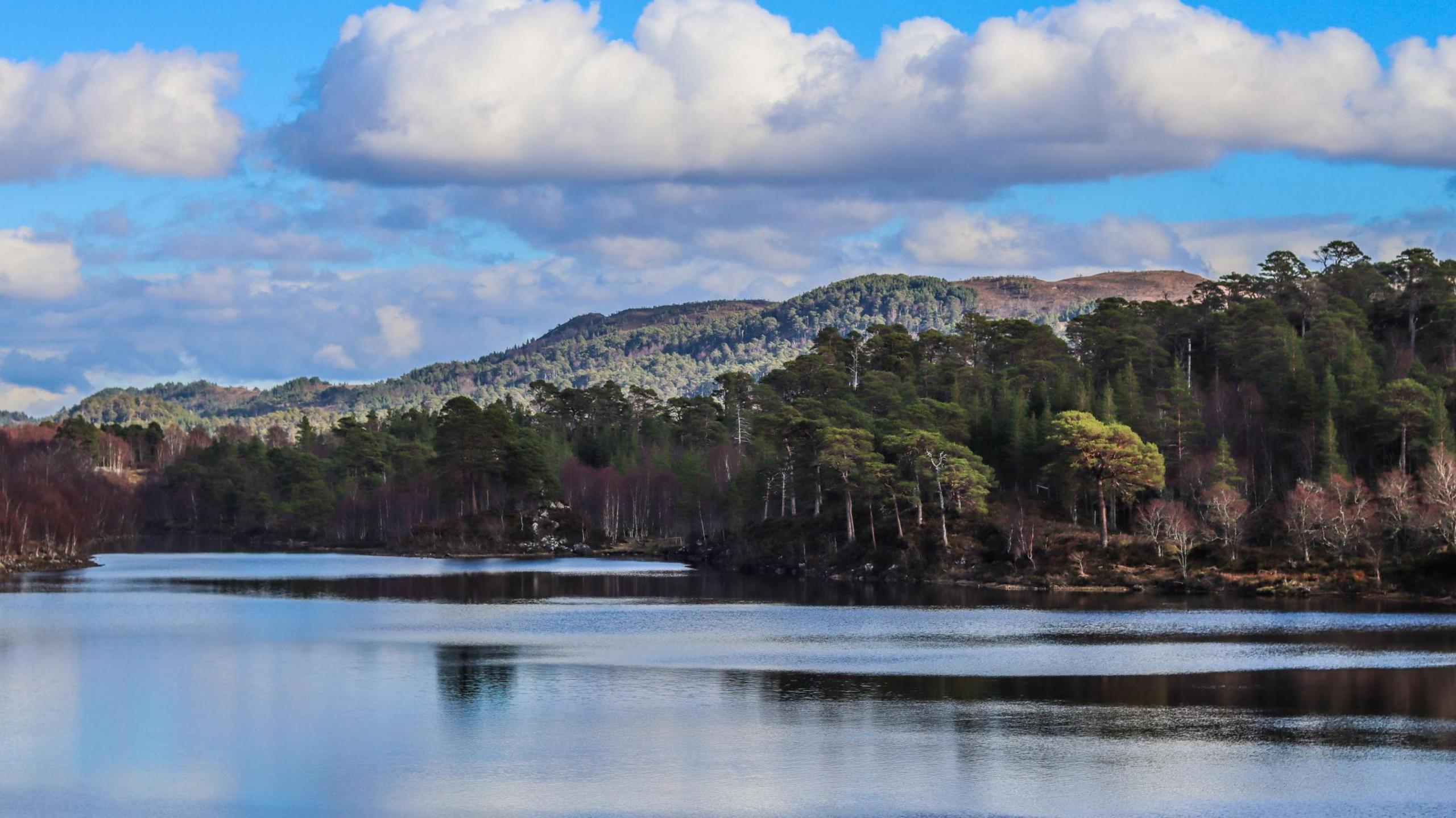 The loch is in an area of woodland and tree-covered hills. The loch's water is calm and reflects the blue sky and white clouds above.