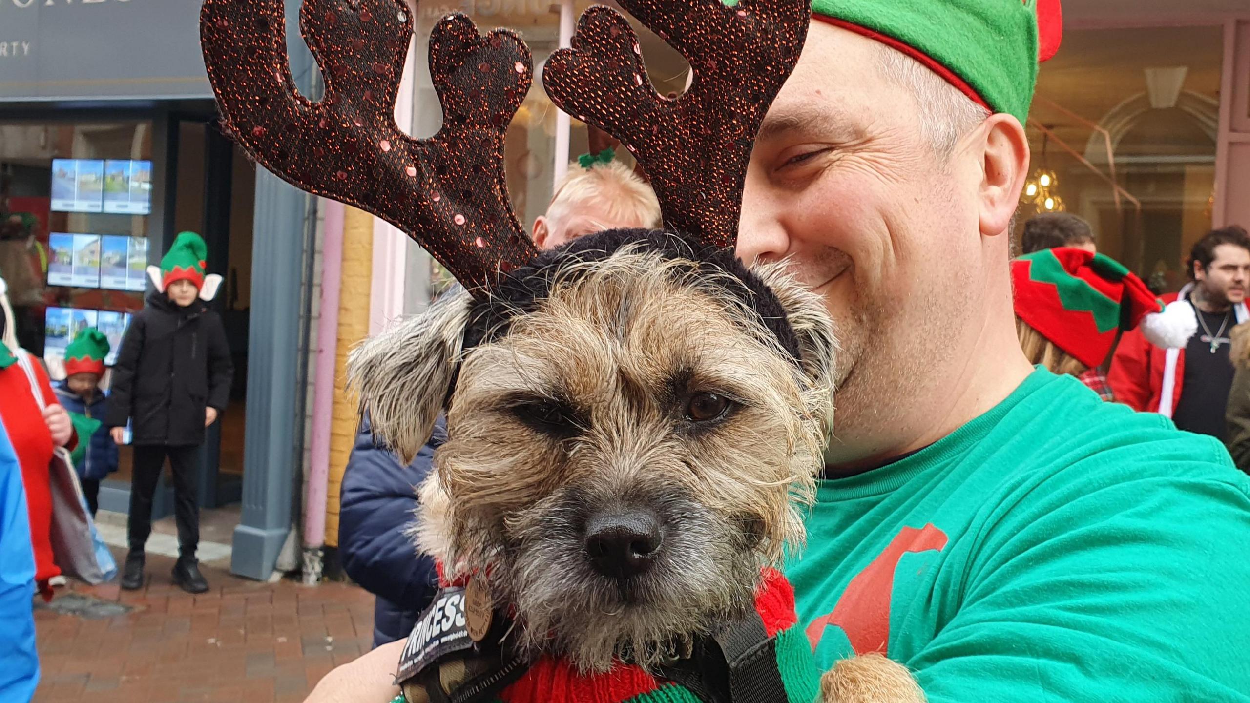 A border terrier dog wearing sparkly antlers and being carried by its owner