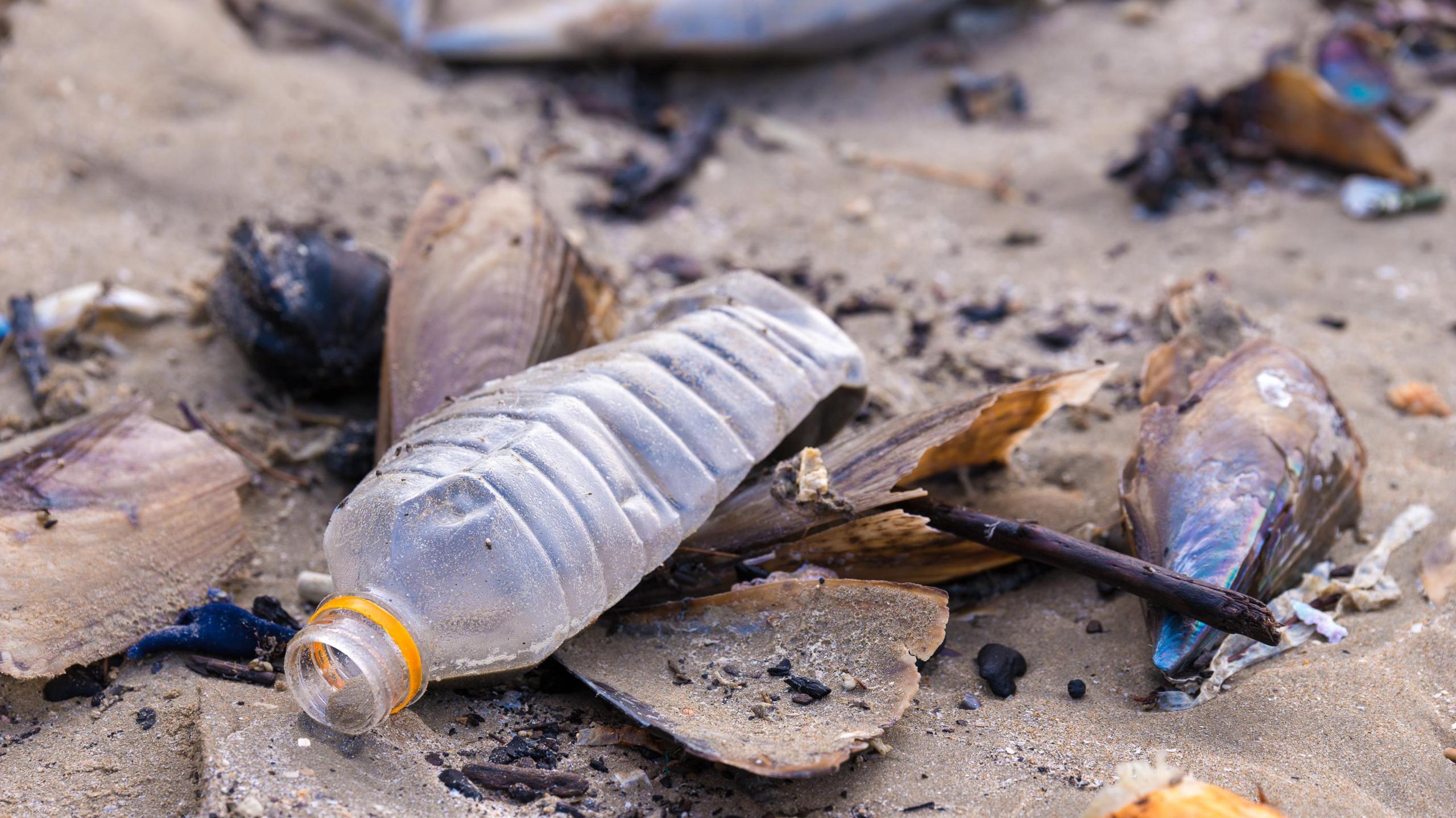 Plastic waste on beach