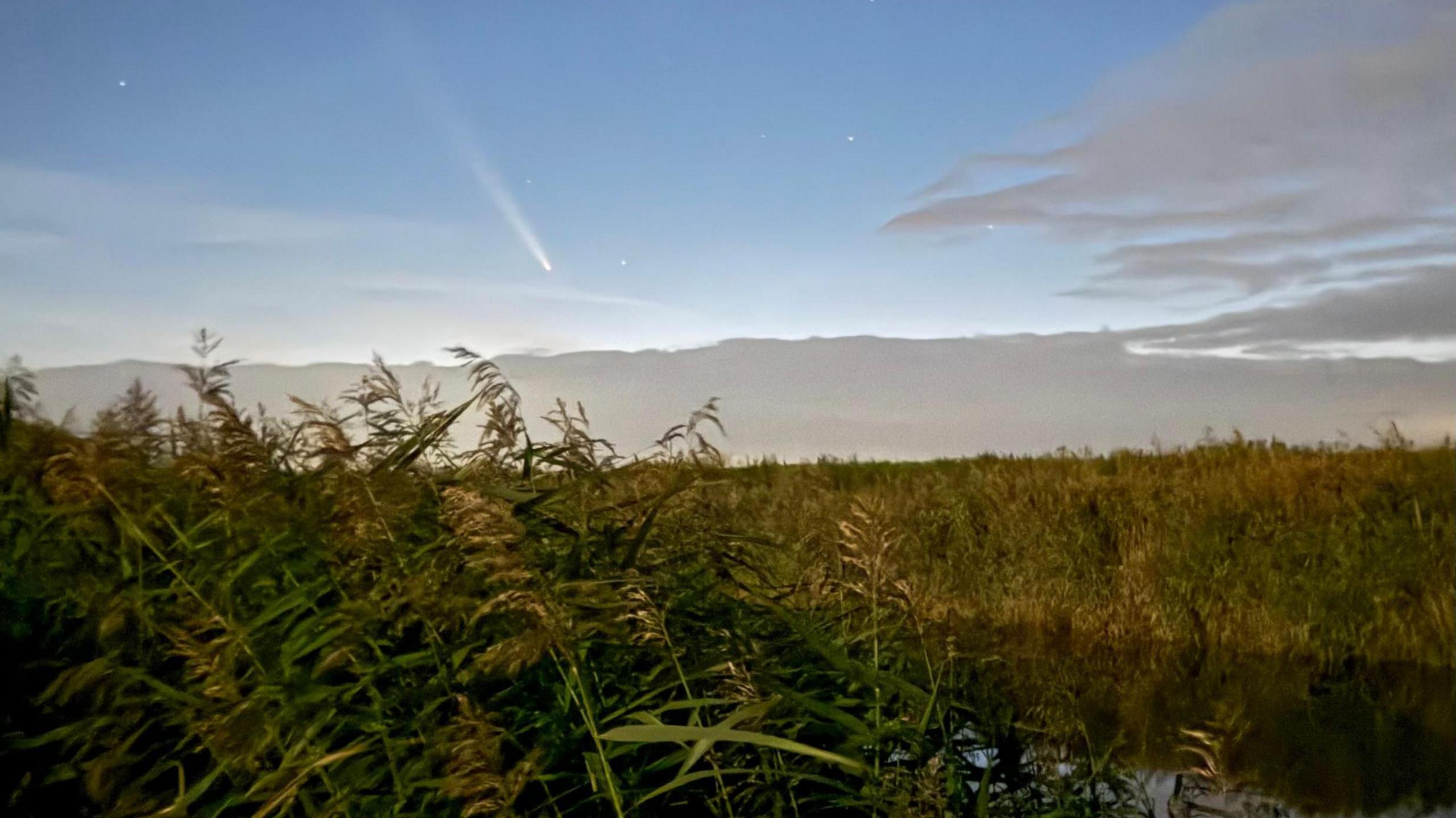 There is lots of plantation in this image near a body of water, the comet can be seen in lighter night skies in the evening. 