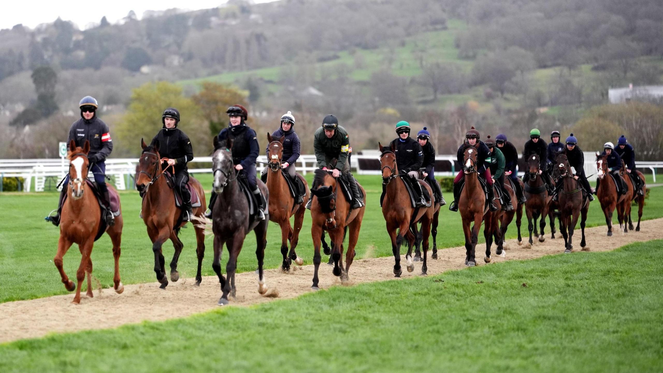 A group of about 12 horses ride in a line on the gallops at Cheltenham before day three of the festival. Their riders are all in plain dark jackets. A hill covered in trees is visible in the background
