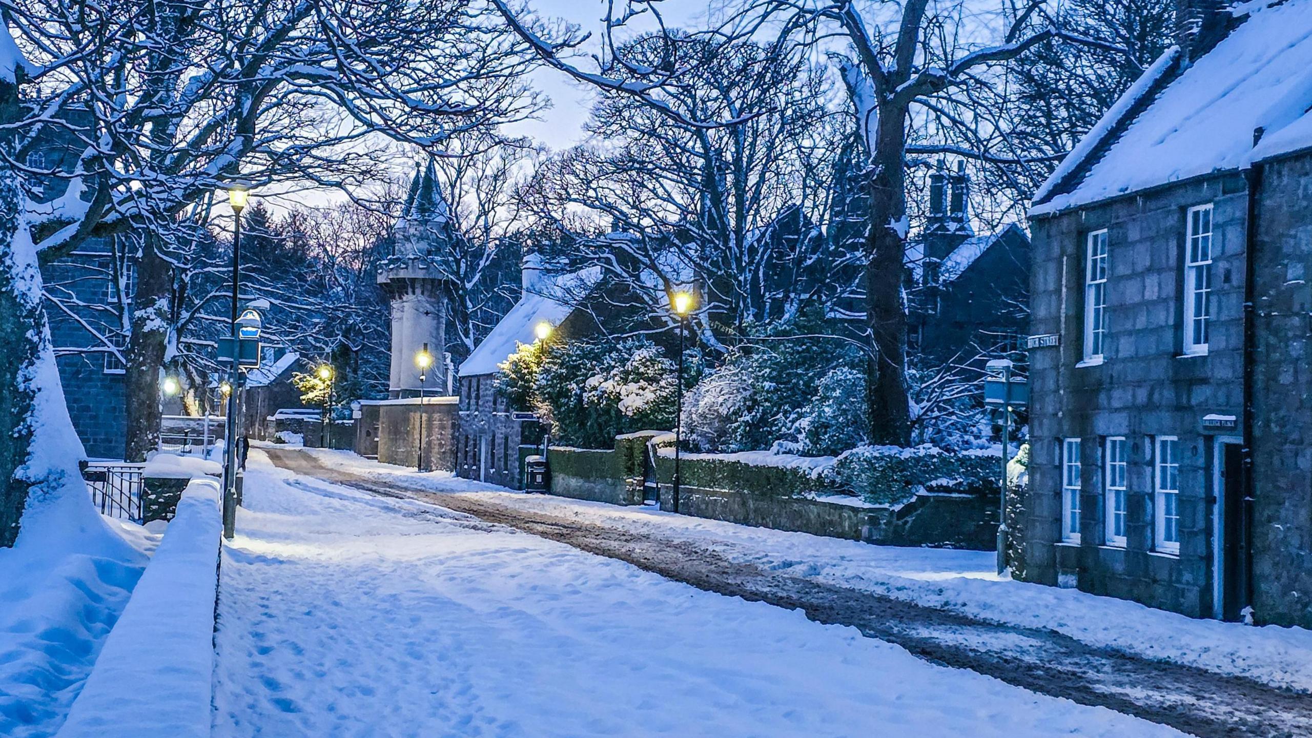 Street scene with road, trees and houses covered in snow. Street light shine brightly alongside the road.