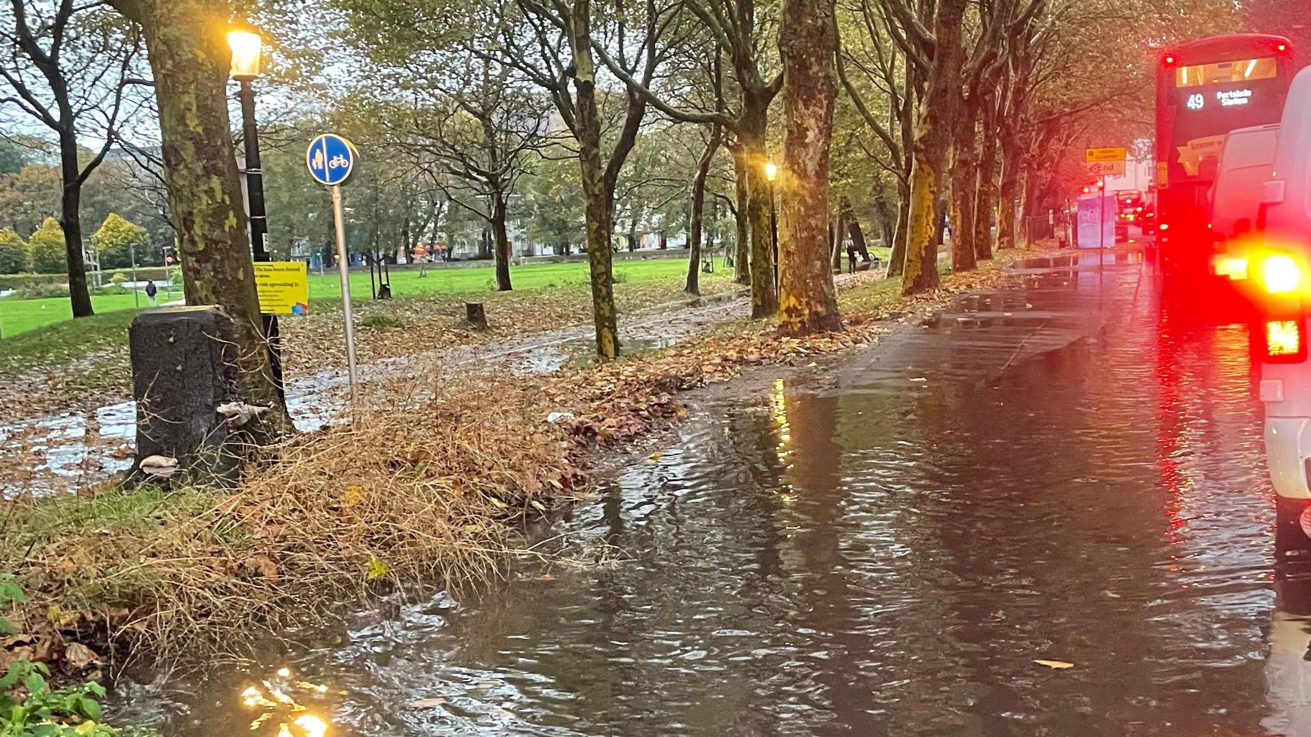 A waterlogged road lined by trees.