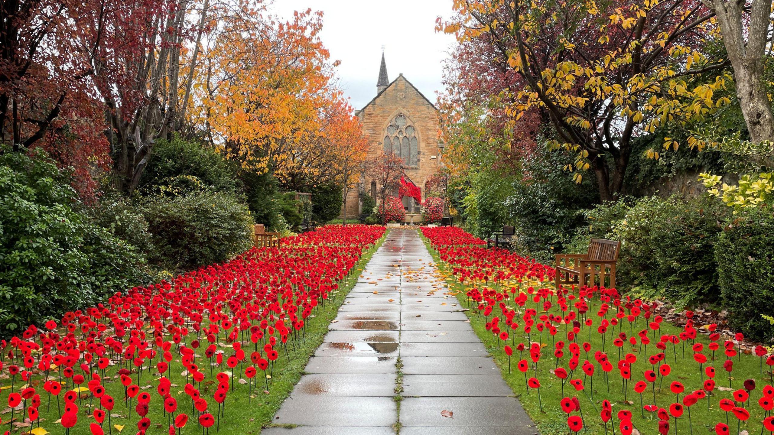 A stone pathway leads to a historic church, flanked by vibrant autumn trees in shades of orange, yellow, and red. Both sides of the path are lined with hundreds of bright red poppies planted in green grass, creating a striking memorial display.