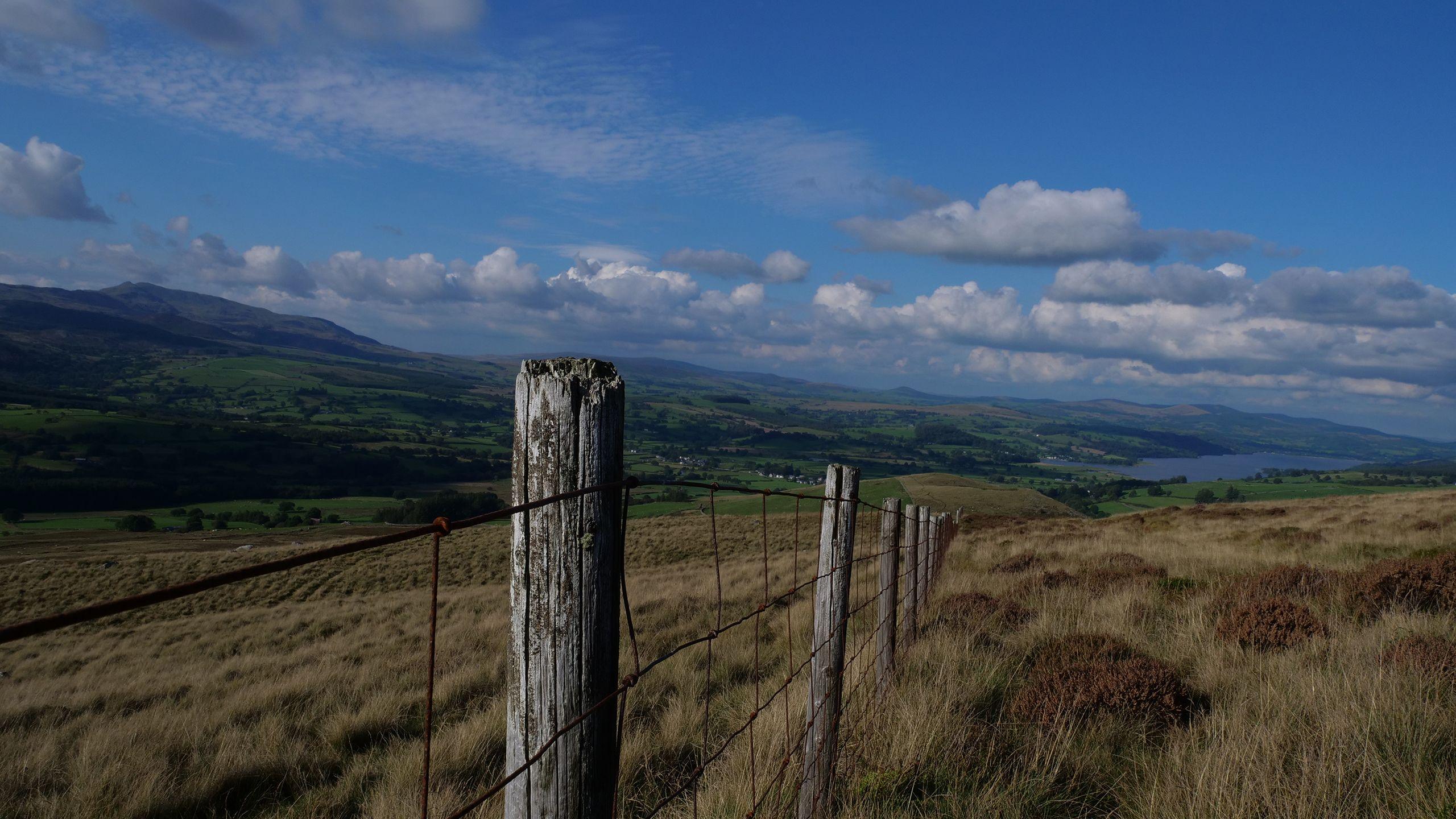 Llyn Tegid