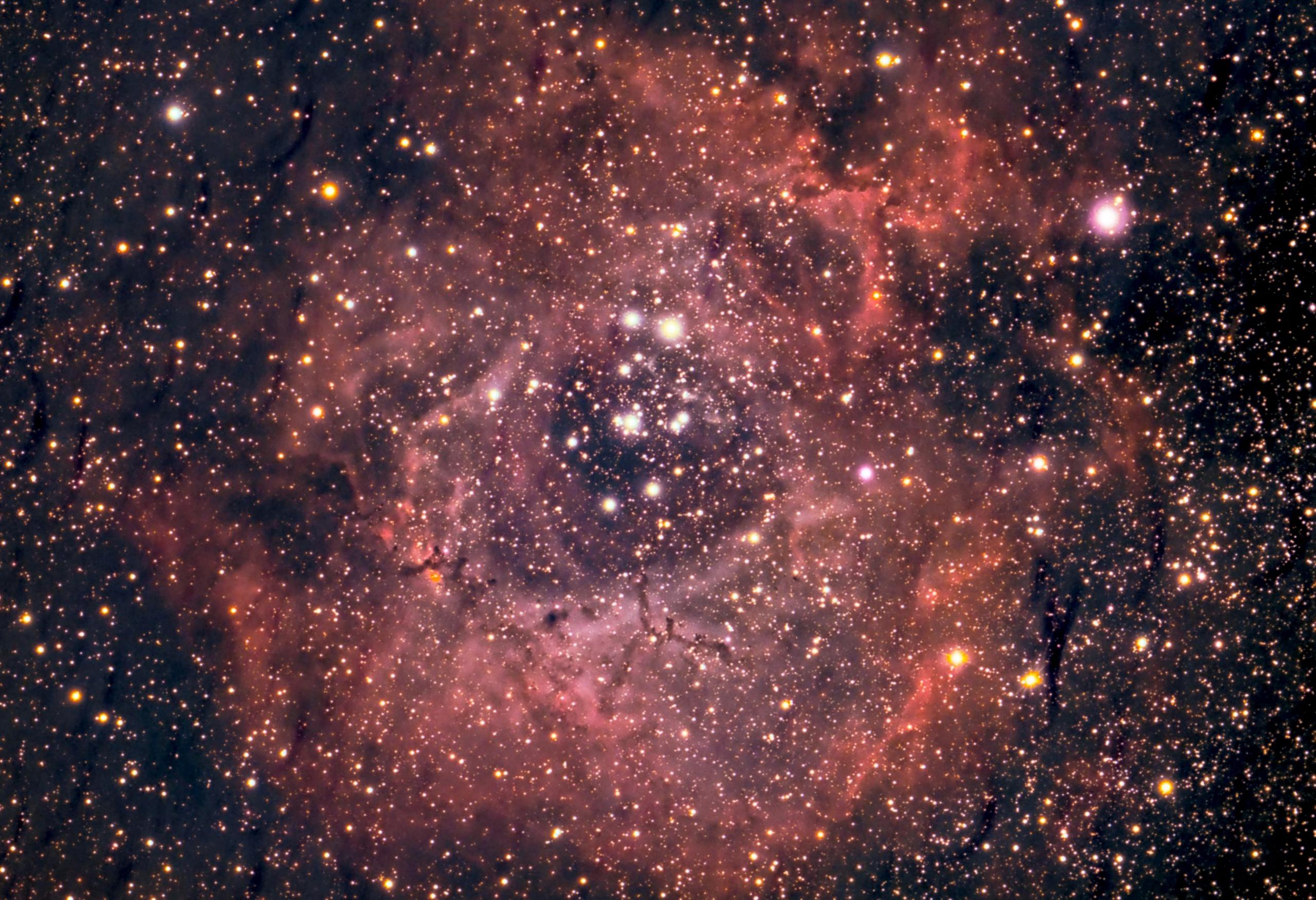 Rosette Nebula