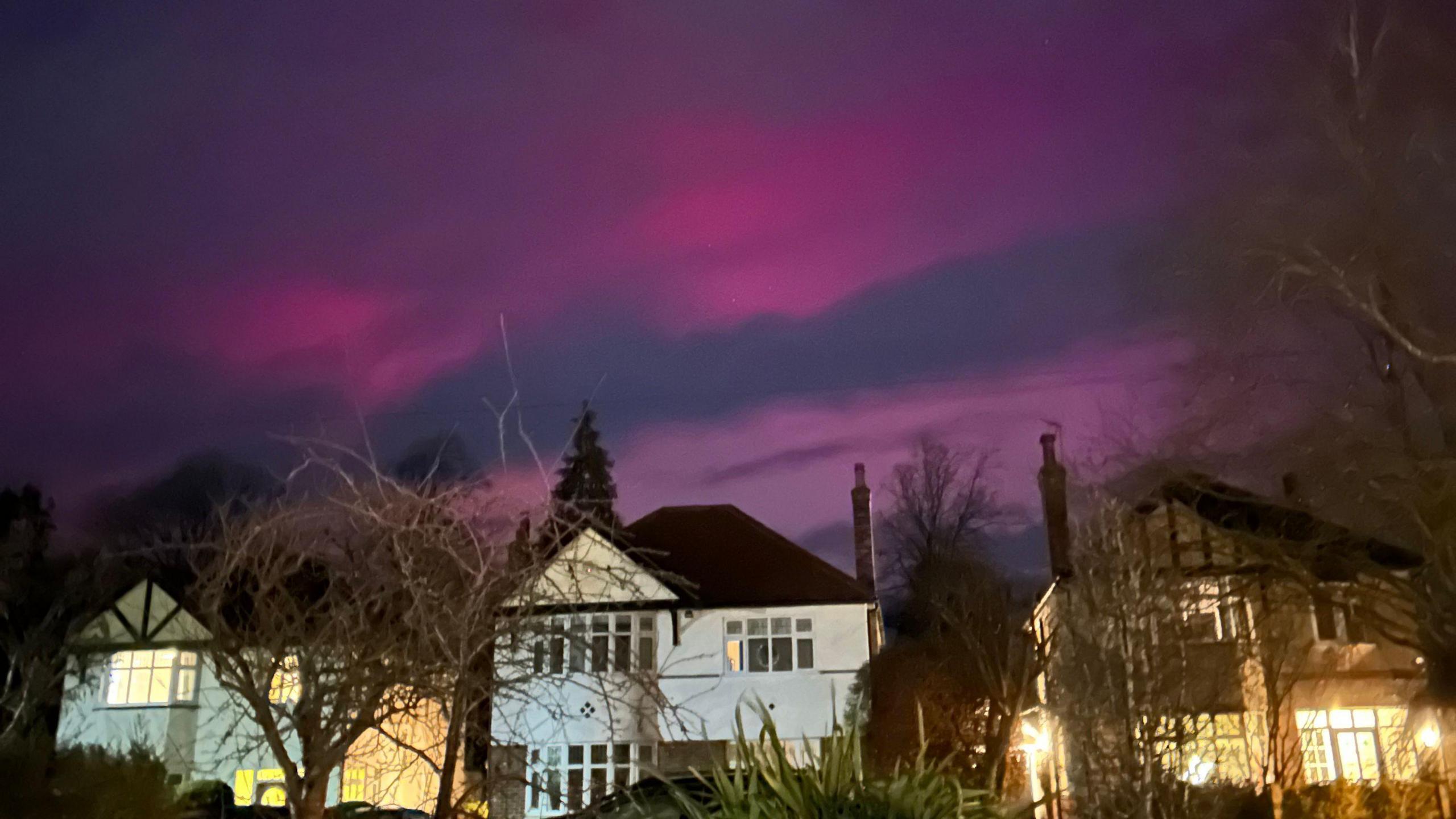 Pink and purple sky over residential street.