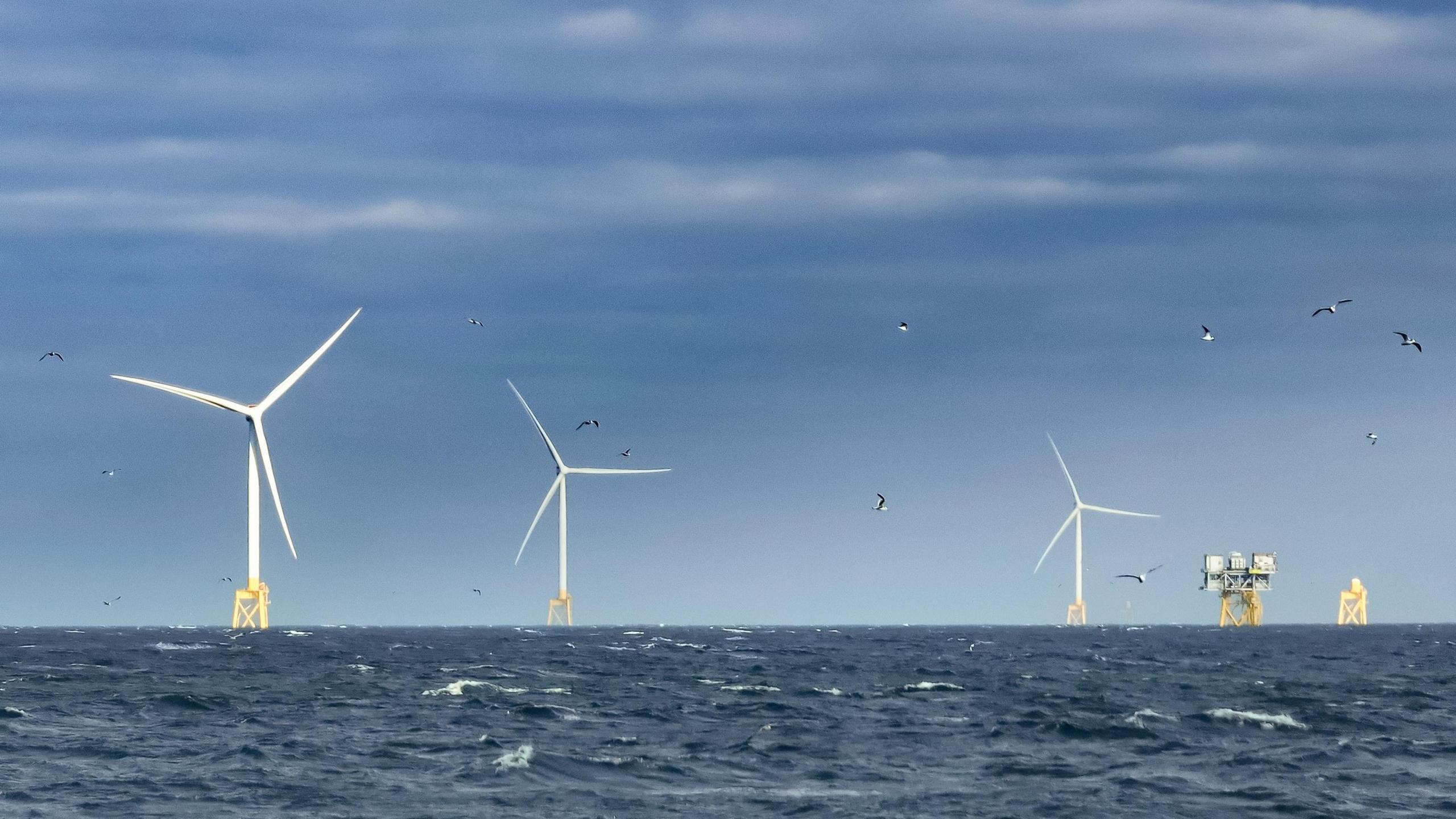 Neart na Gaoithe wind farm: There are three wind turbines on top of yellow platforms in the sea. A few birds fly over head.