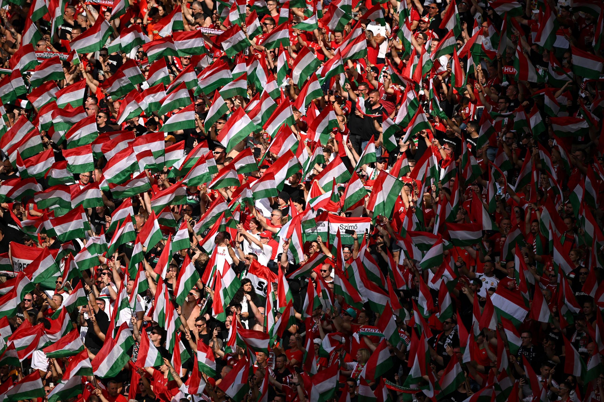 Hungary fans wave flags before the group game against Germany