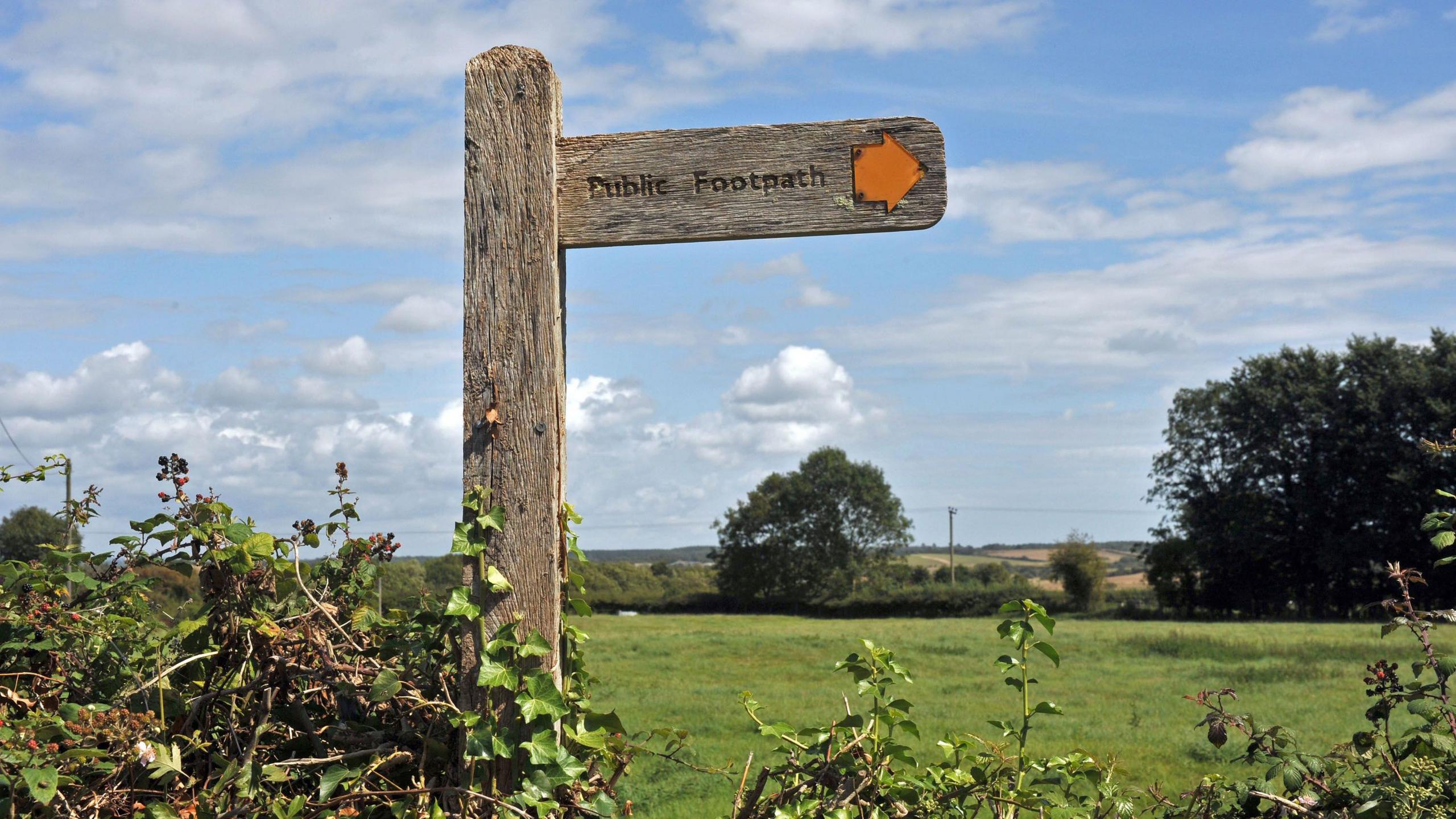 A public footpath sign with greenery in the background