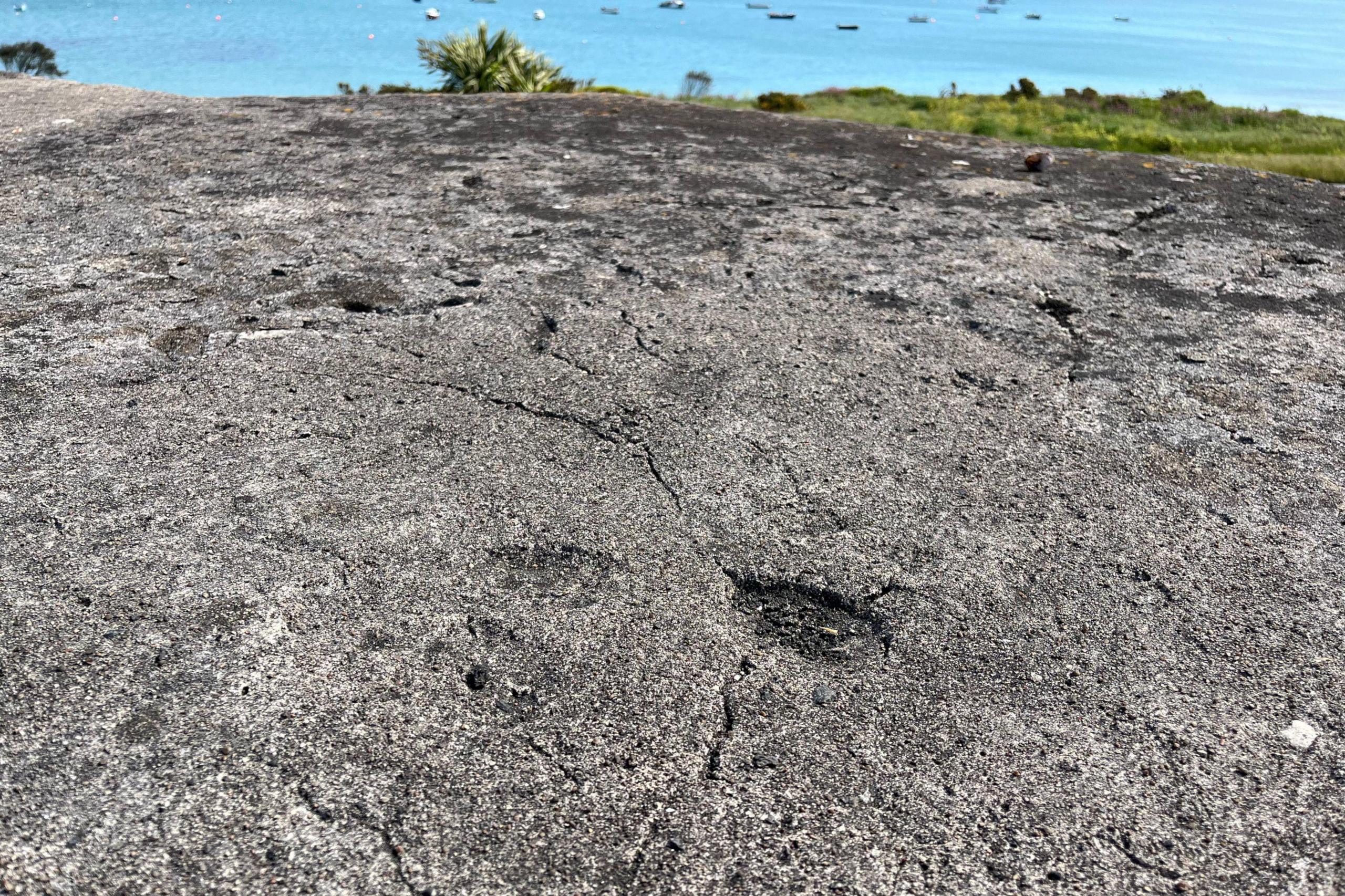 Footprint on top of a bunker