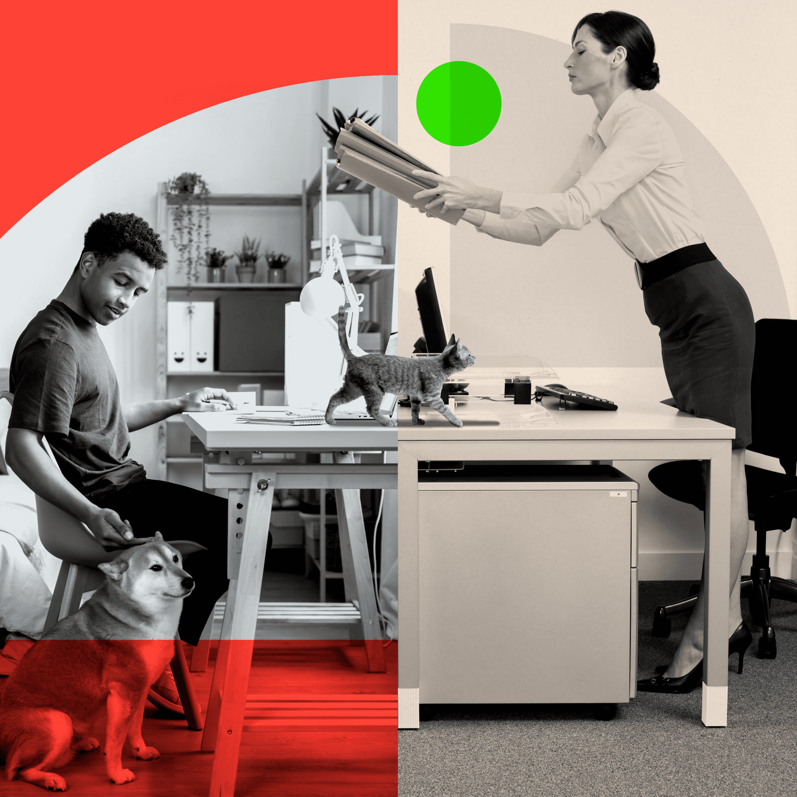 Montage Image: On the left side a man works from home at his desk, and pets a dog. On the right side a woman stands at her desk in an office environment, and passes a file through to the man working from home. A cat crosses the divide between the two images.