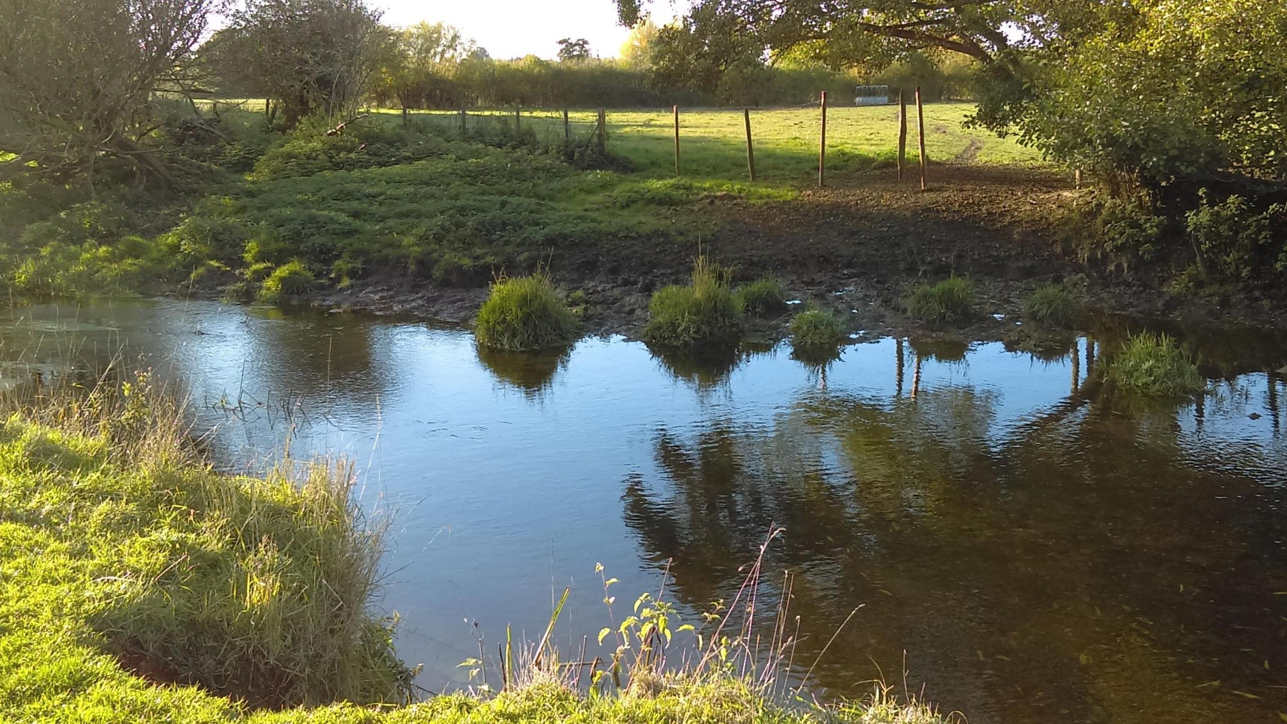 Eroded riverbank at Cymbeline Meadows