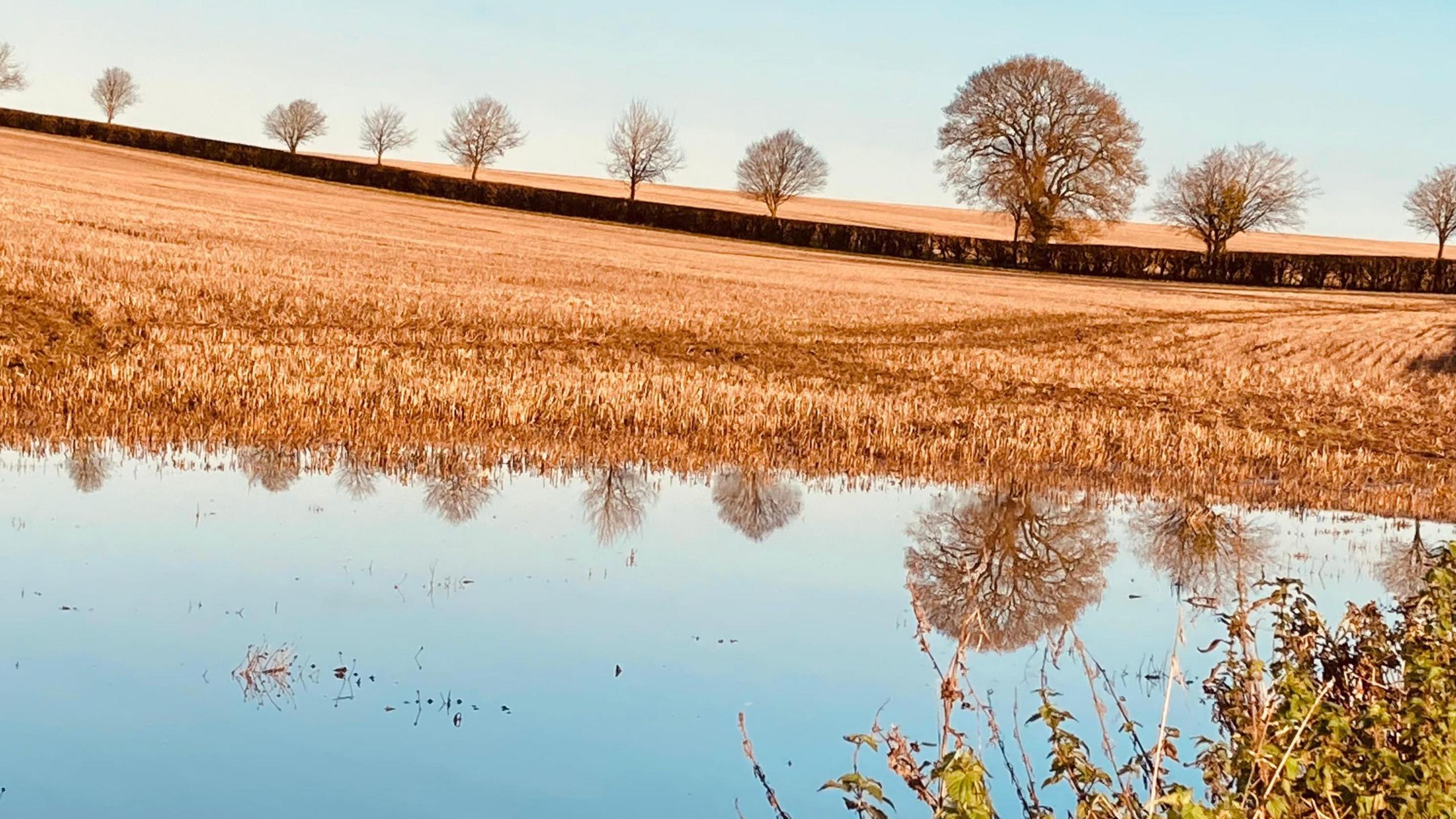 A body of water is at the bottom of the image with a light brown field behind. A tree line can be seen running through the fields with trees stripped of their leaves. The sly is blue.