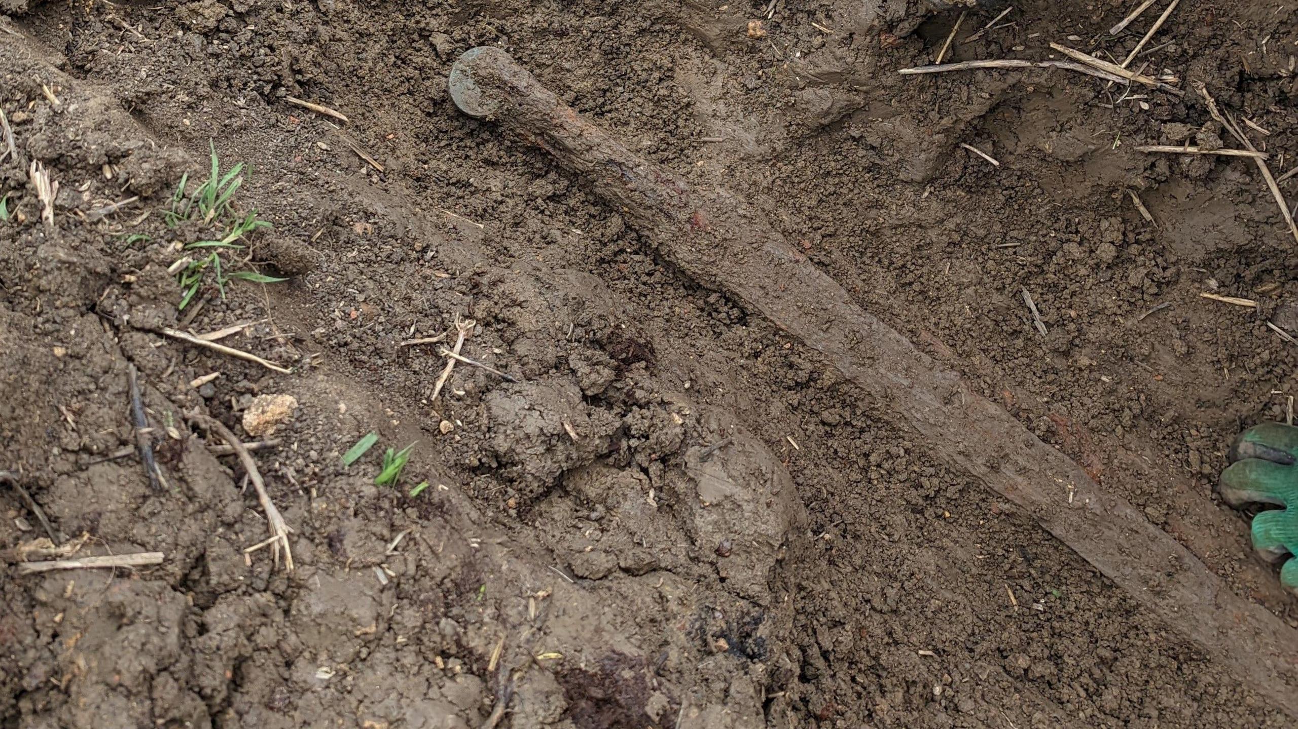 A long, very heavily weathered sword, is shown in embedded in mud. 
