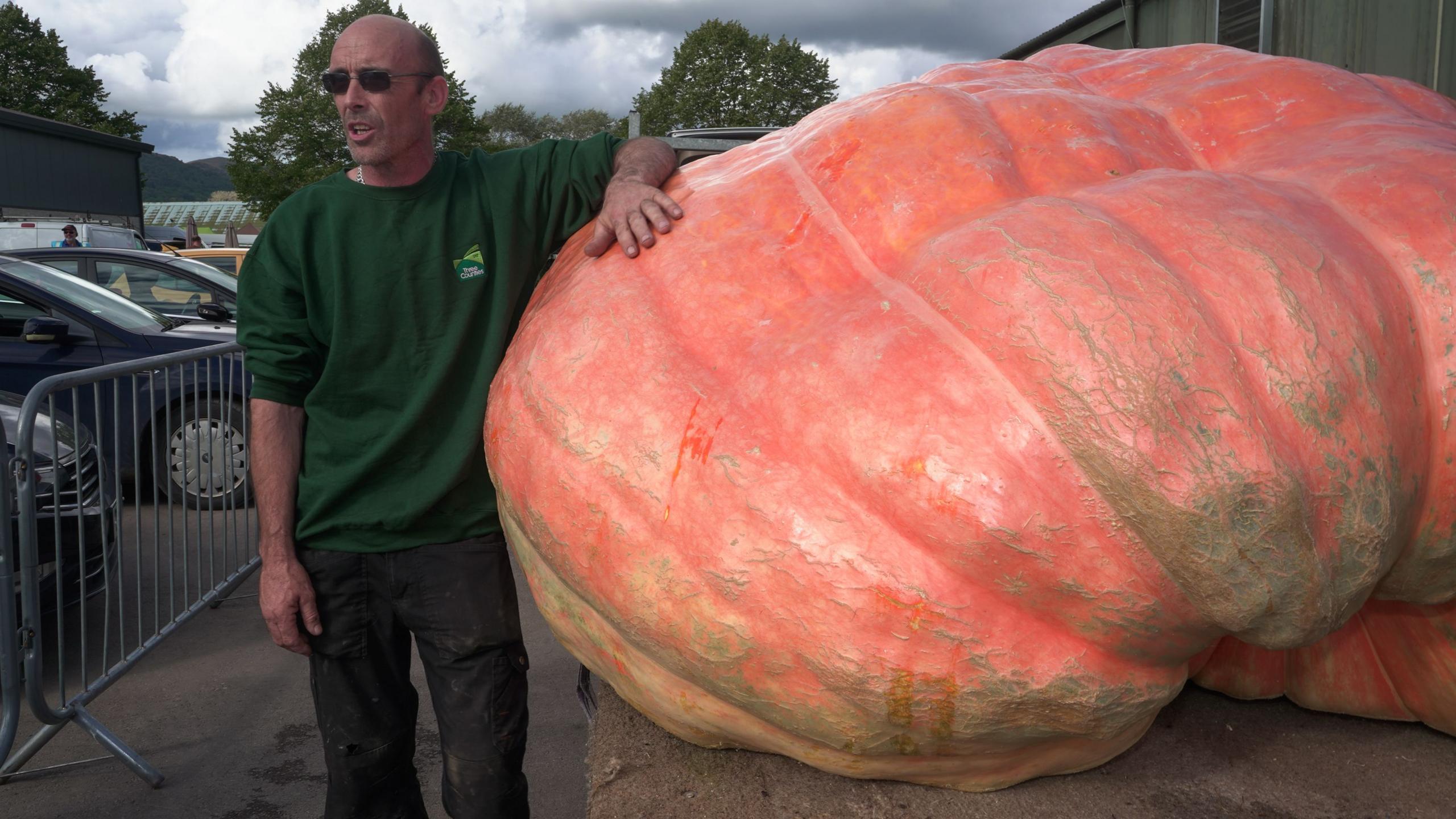 A man with blacked out sunglasses, standing by a pumpkin on the back of a truck. 