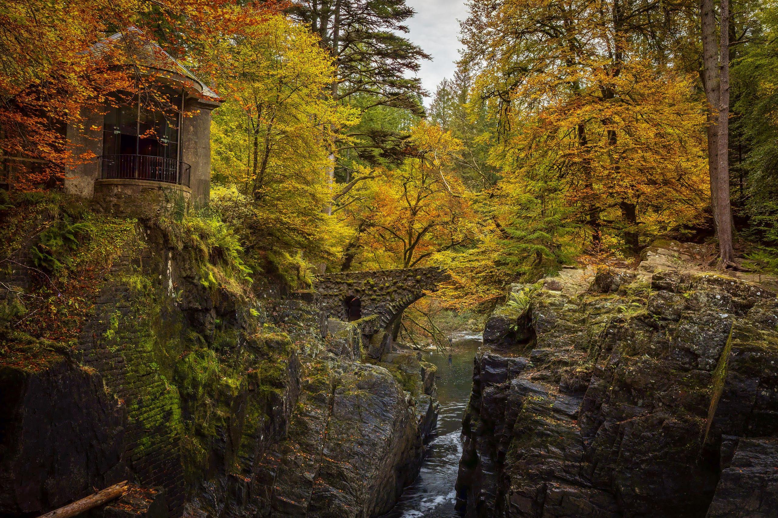 A forest area, with large trees covered in greens and oranges. A river runs through it below.