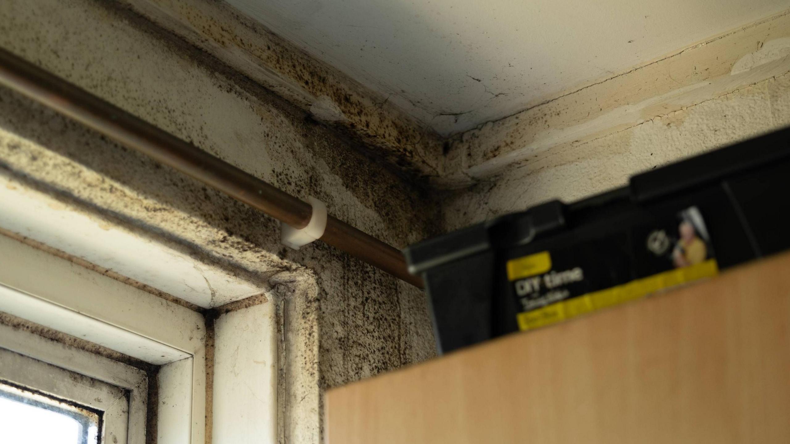 Black mould is visible on the white wall and ceiling by a window,