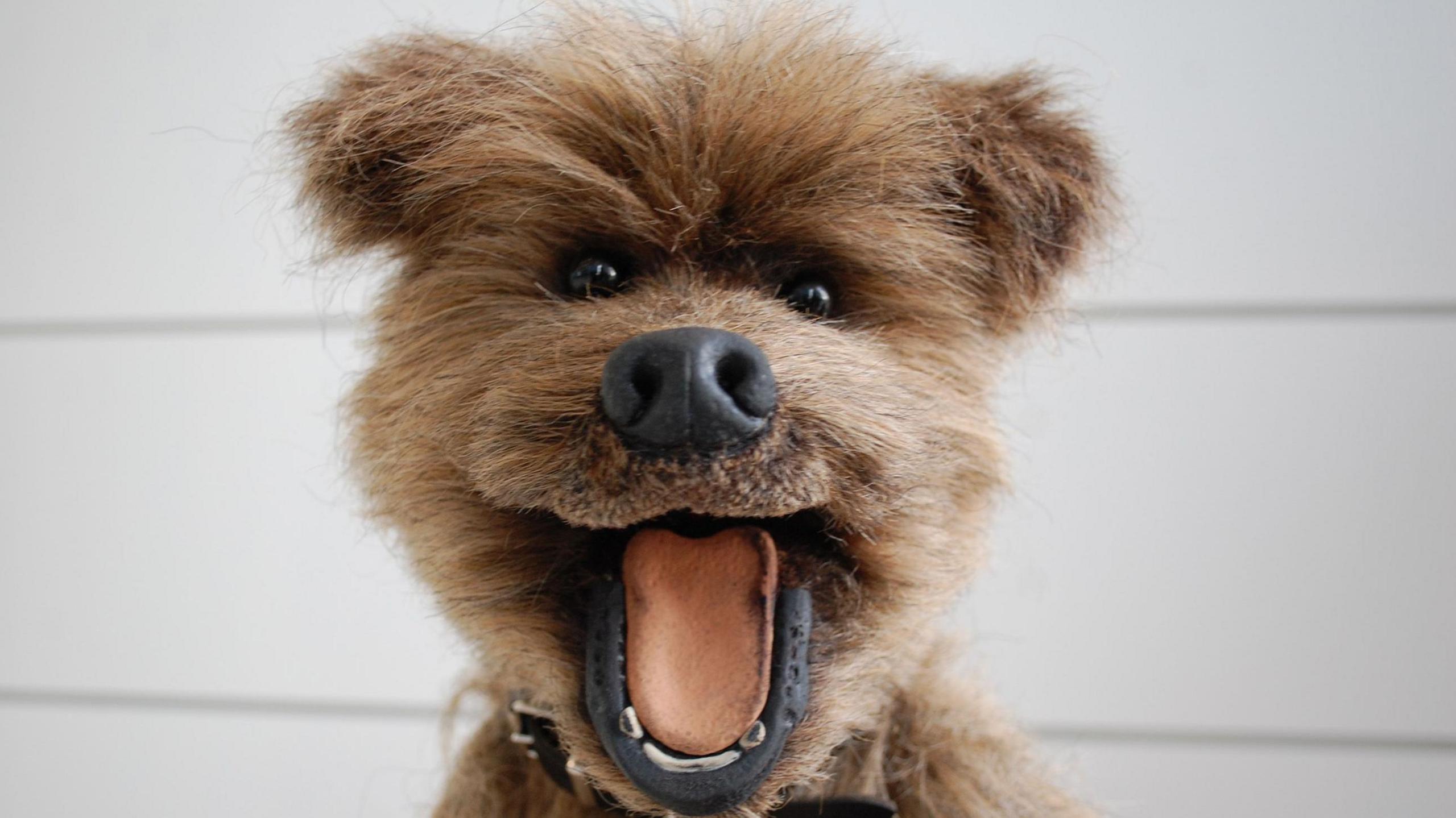  CBBC's Hacker T. Dog at MediaCityUk, Salford