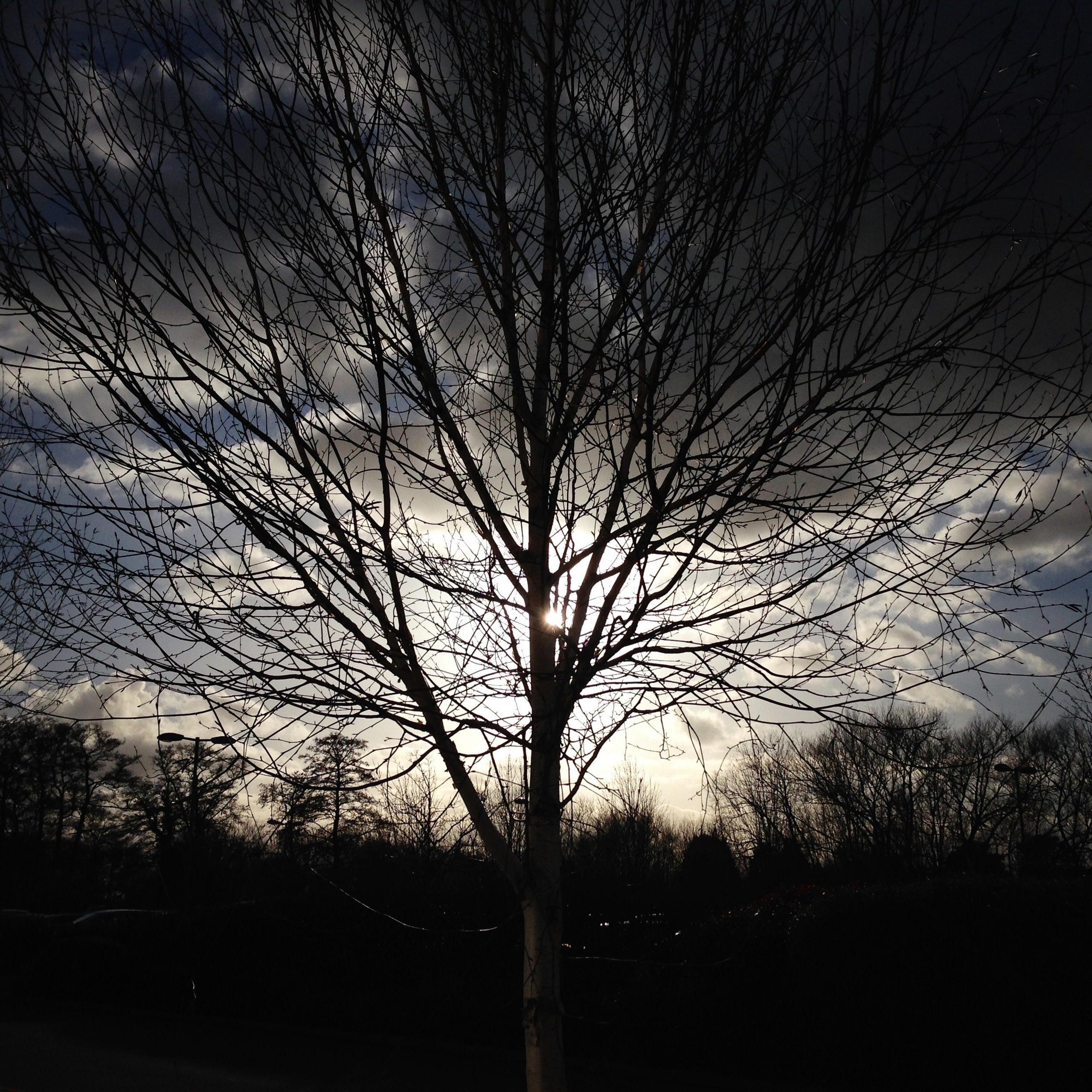 Ella Johnson, aged 13, took this picture on her walk home from school