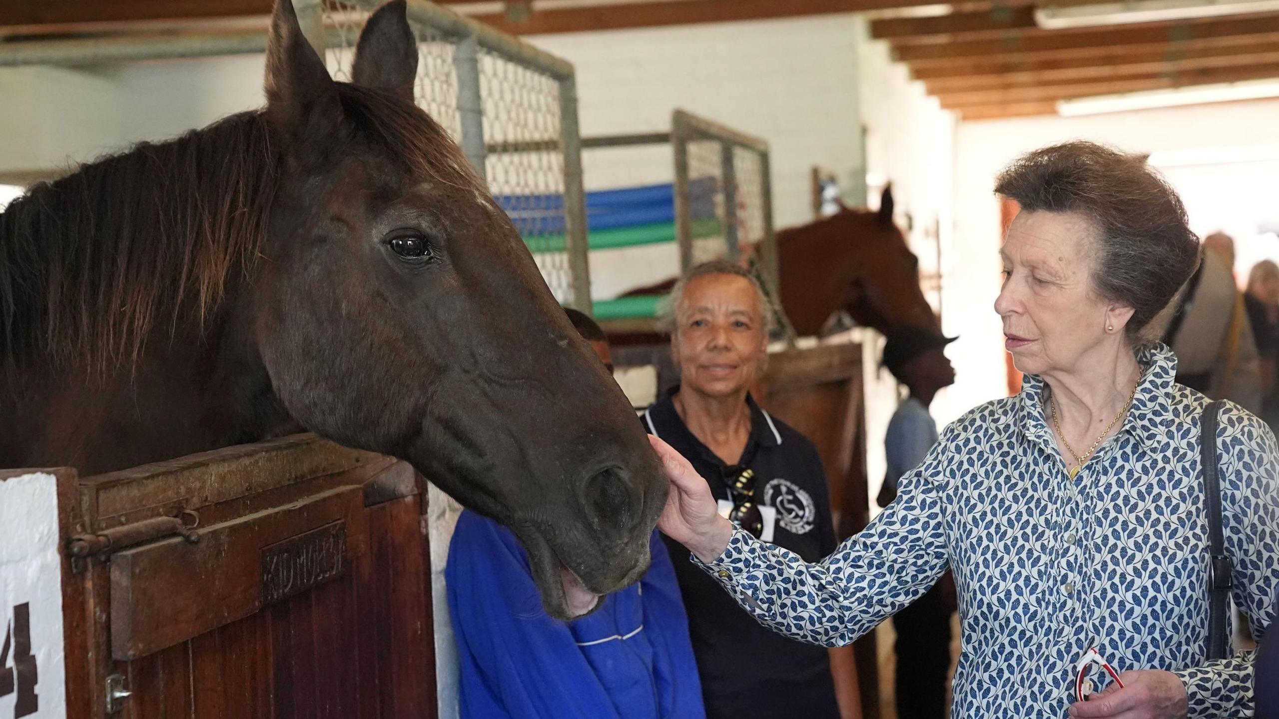 Princess Royal in the stables during a visit to the South African Riding School for Disabled Association while on her two-day to trip to South Africa