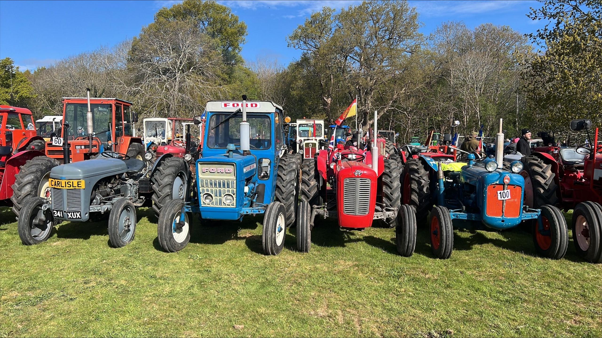A row of vintage tractors which are grey, blue and red. They are parked in a field in front of many other old tractors.