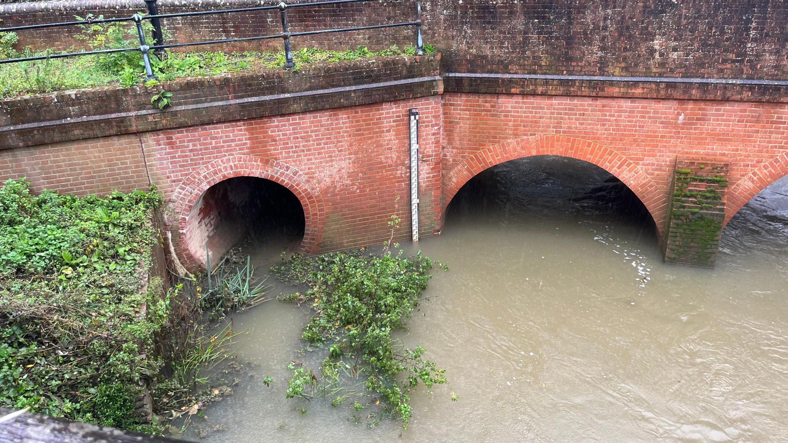 River Mole at Leatherhead