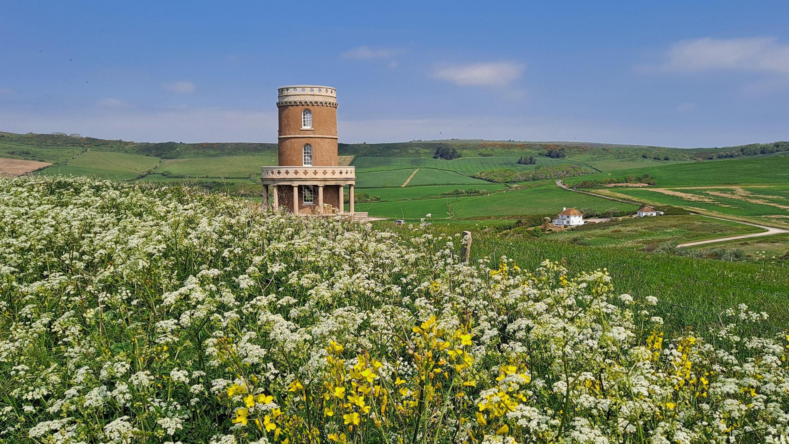 A Tuscan-style tower of brown brick surrounded by green Dorset fields. The foreground is a bed of tall wildflowers.