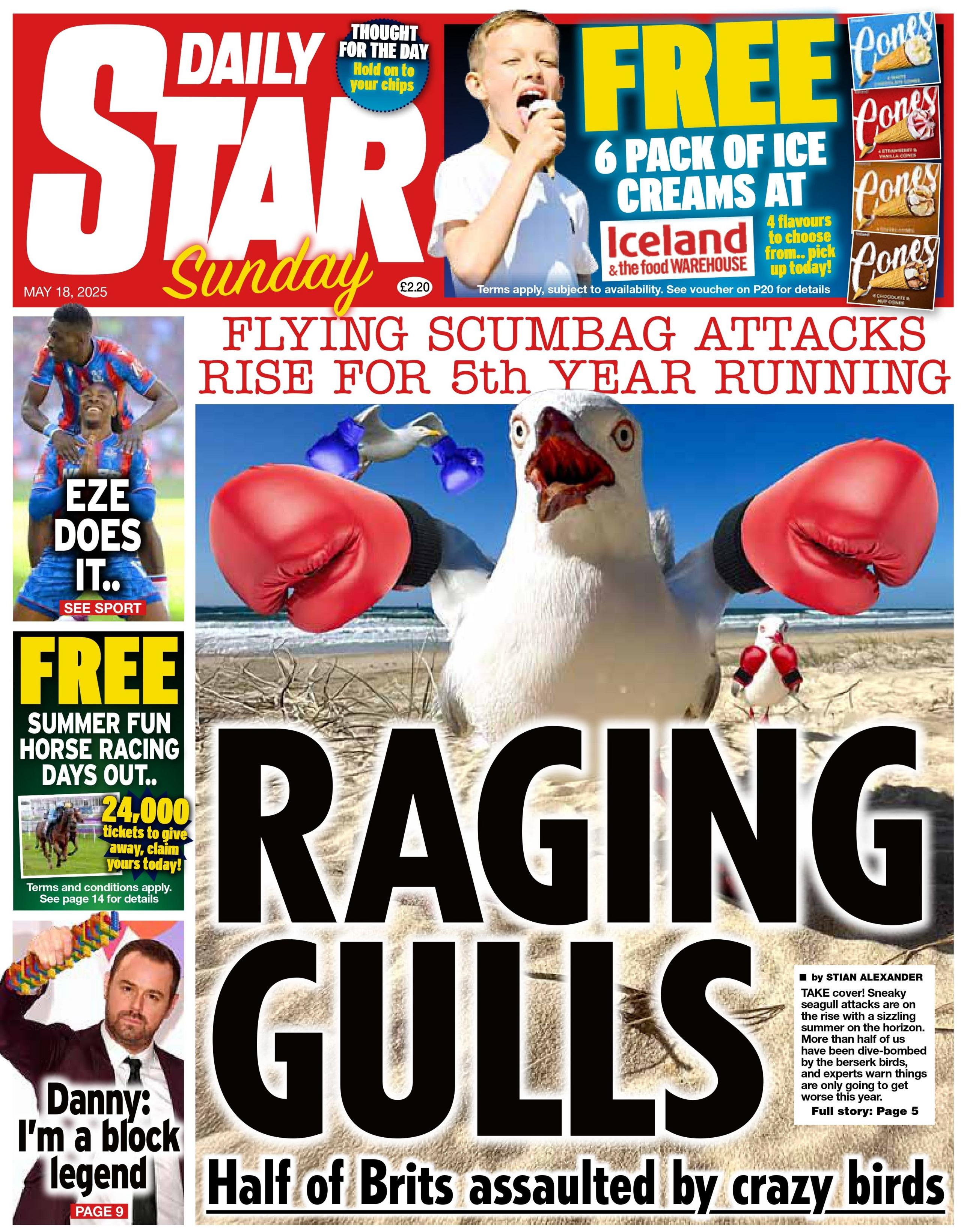 The Daily Star front page, which carries a seagull with boxing gloves states "Raging Gulls".