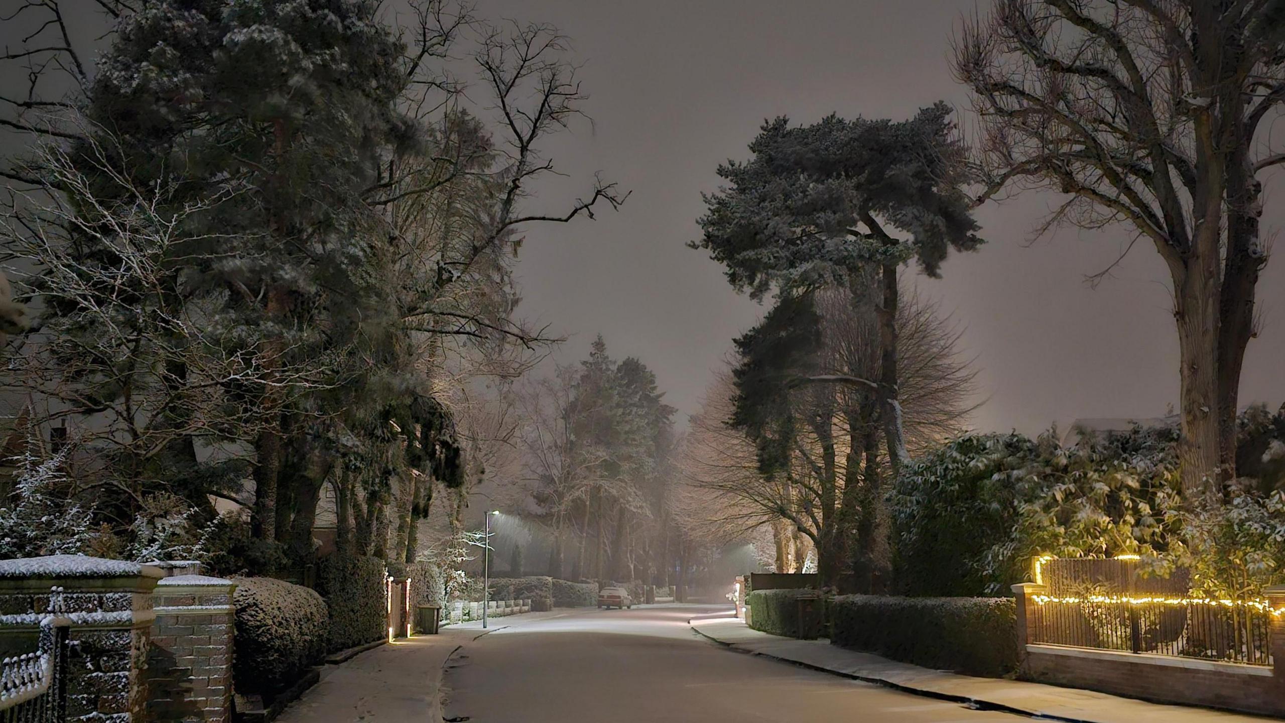 Snow on a road, trees, bushes in Harpenden, with Christmas lights on a railing. The sky is dark. 