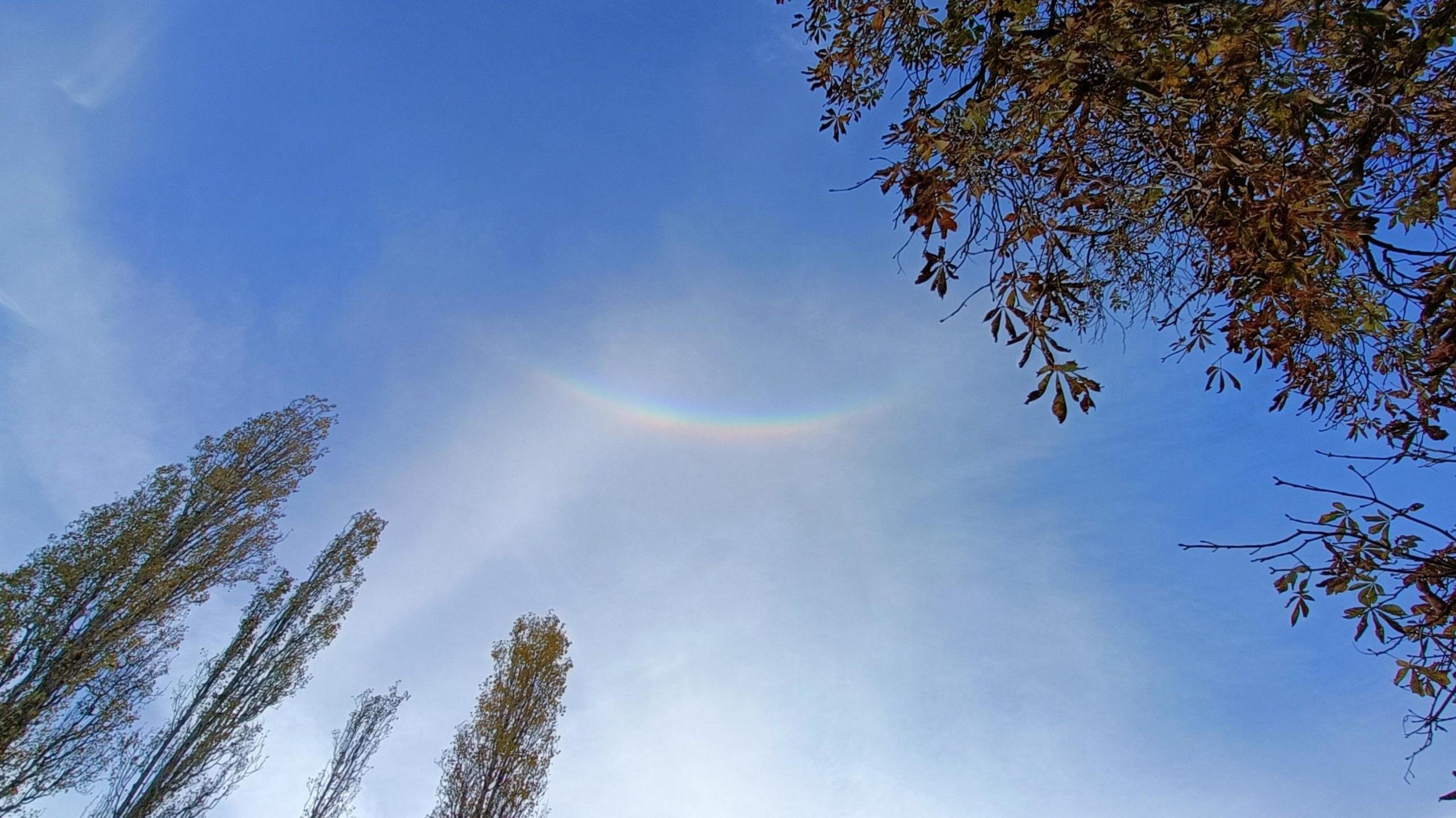 An upside down rainbow seen against a clear blue sky. There are treetops showing to the left and right of the image.