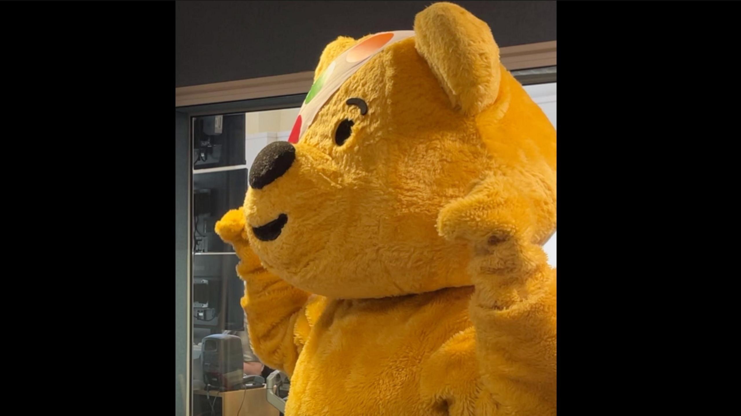 Pudsey the bear stands in the BBC Guernsey studio. 