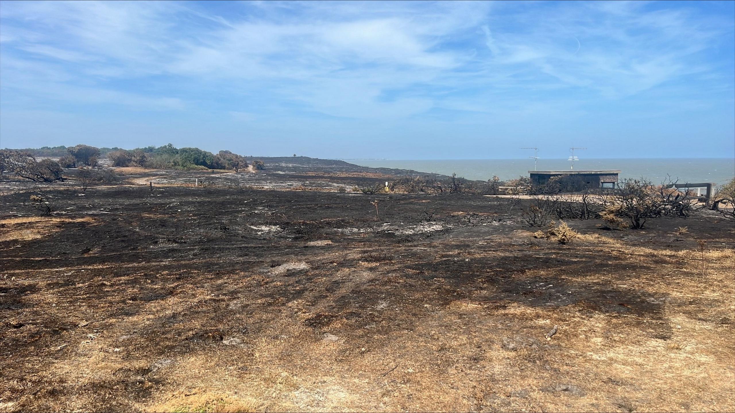 A coastline and heathland area that has been destroyed in a fire. The sea is in the background.
