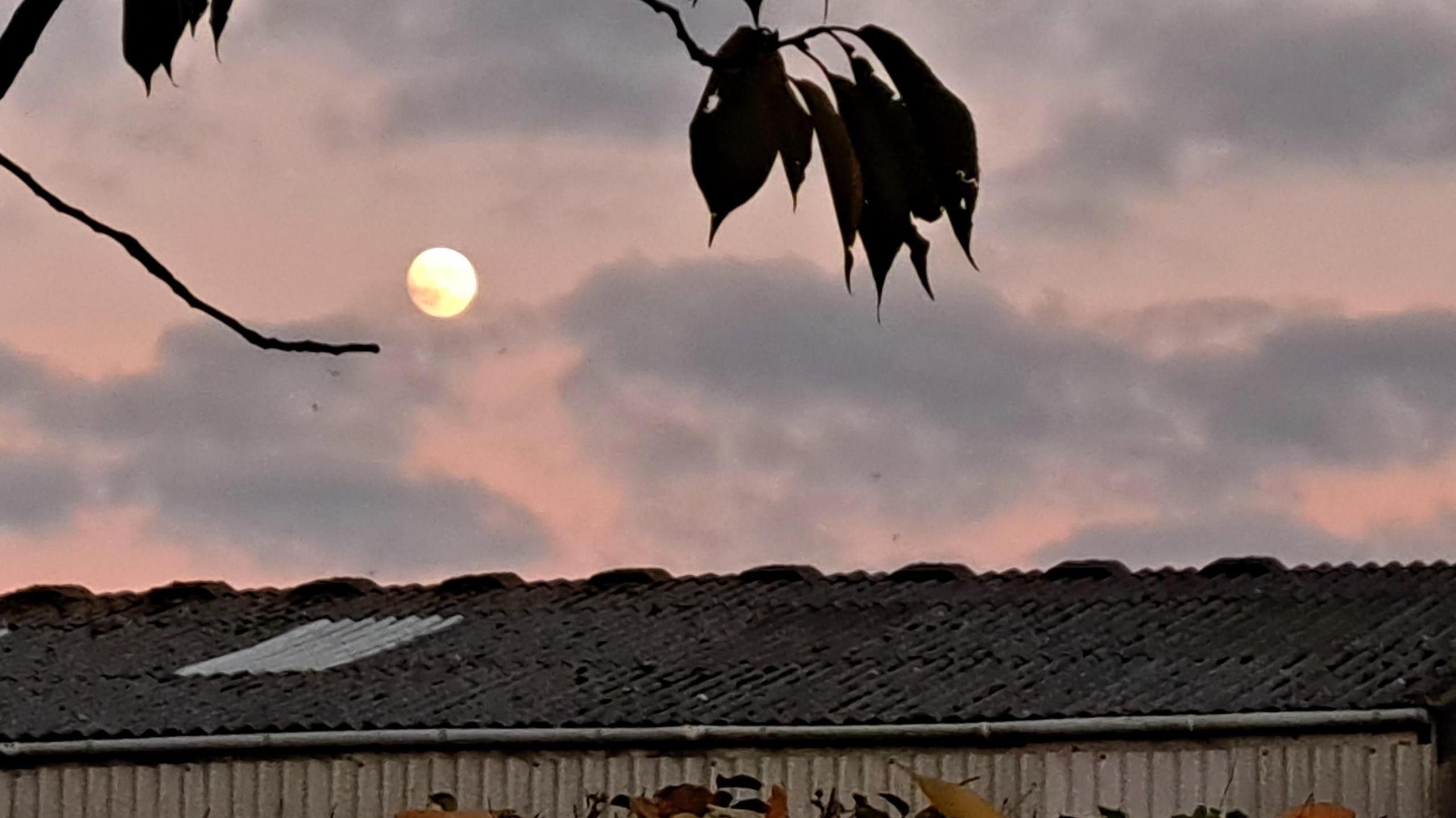 A bright moon against a pink-coloured sky and behind some clouds. A tiled roof is in the foreground as well as some leaves hanging from tree branches.