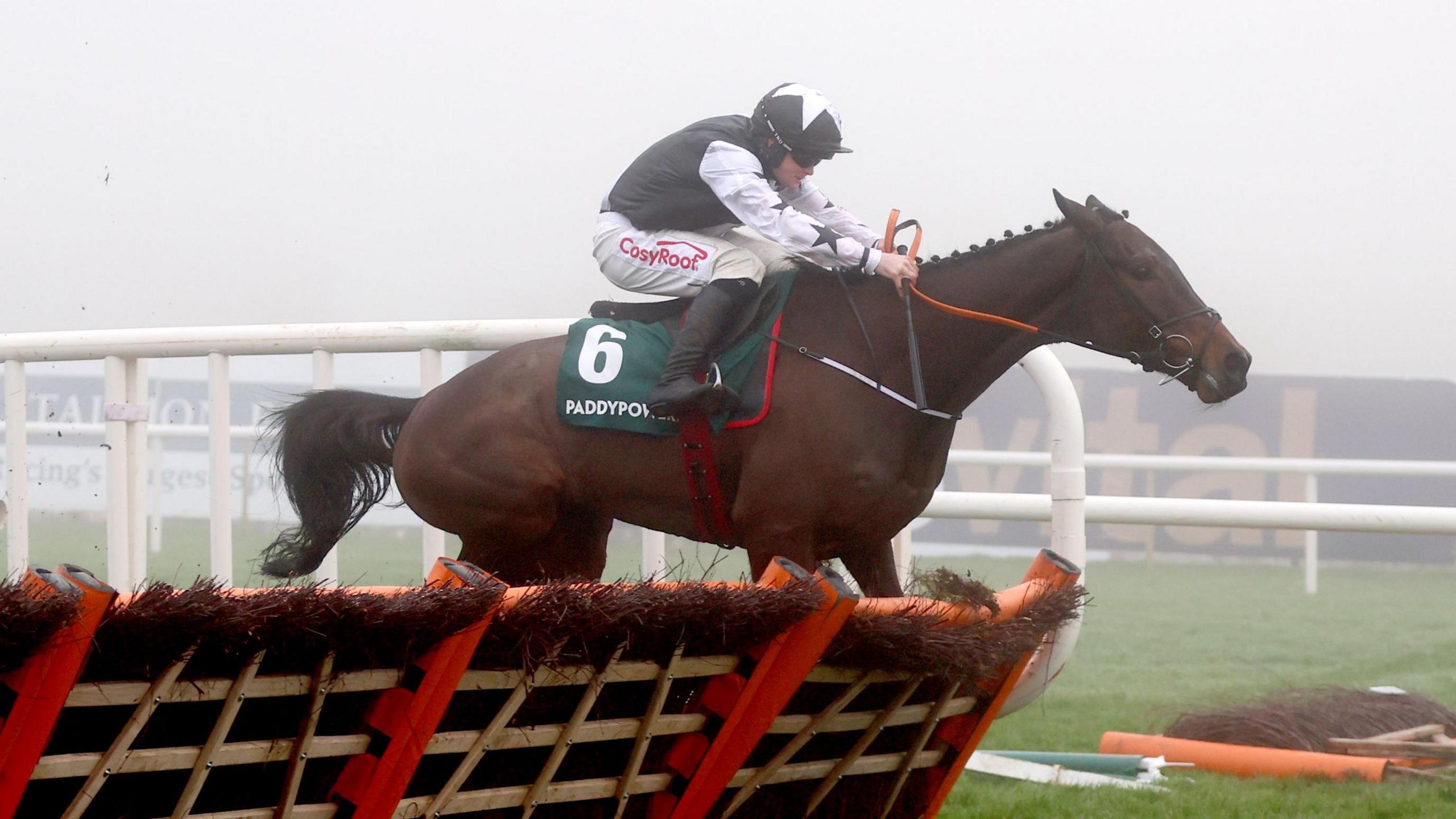 Romeo Coolio clears the last fence in the Paddy Power Future Champions Novice Hurdle