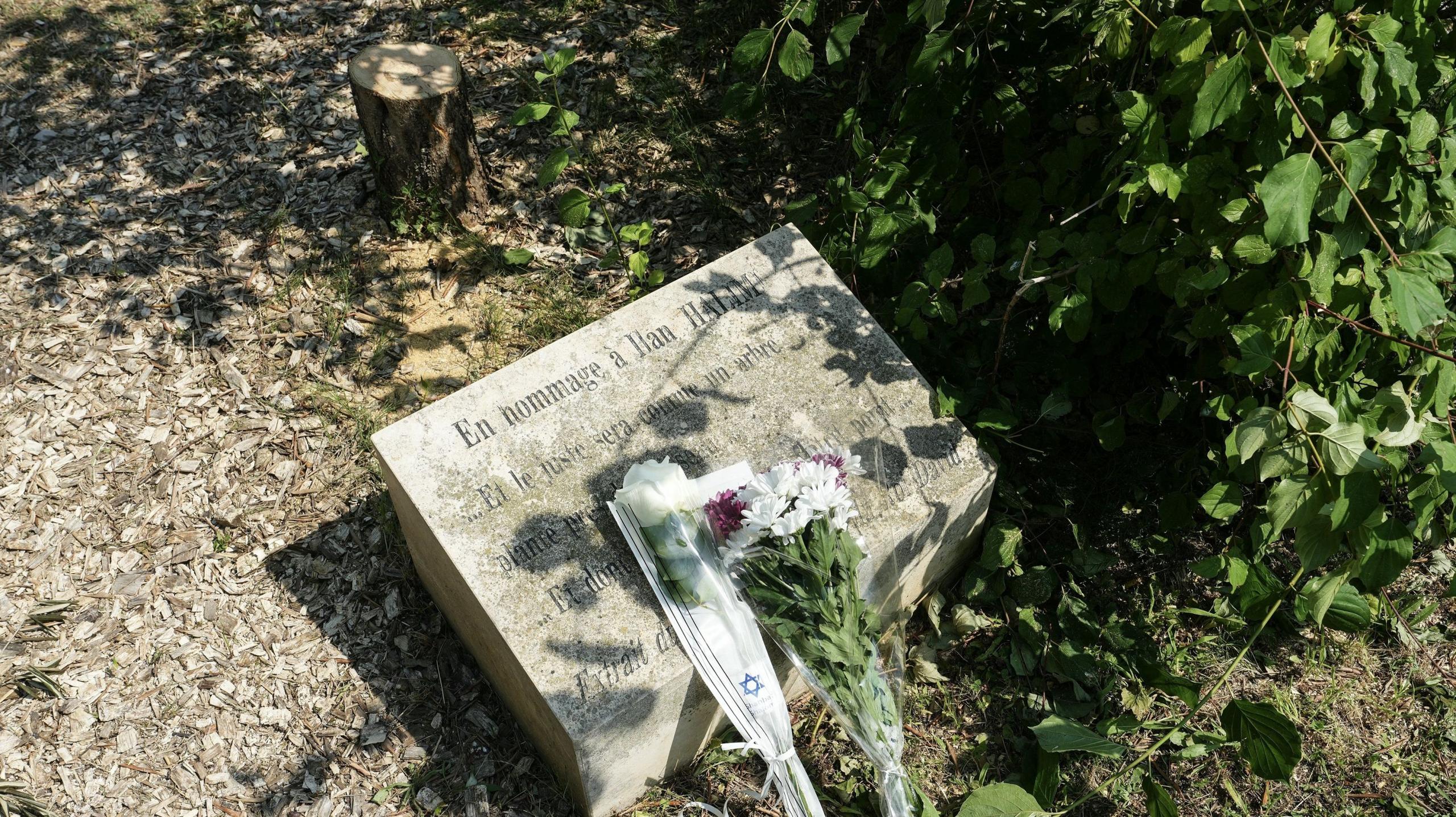 A tree stump sits next to a memorial stone bearing Ilan Halimi's name.