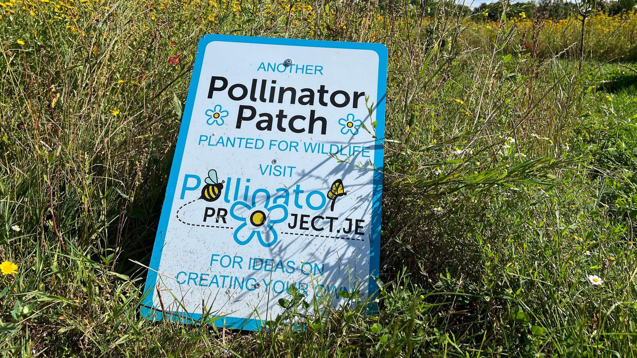 A sign saying an area of flowers is a pollinator patch lies at an angle with drawings of flowers and bees on it.