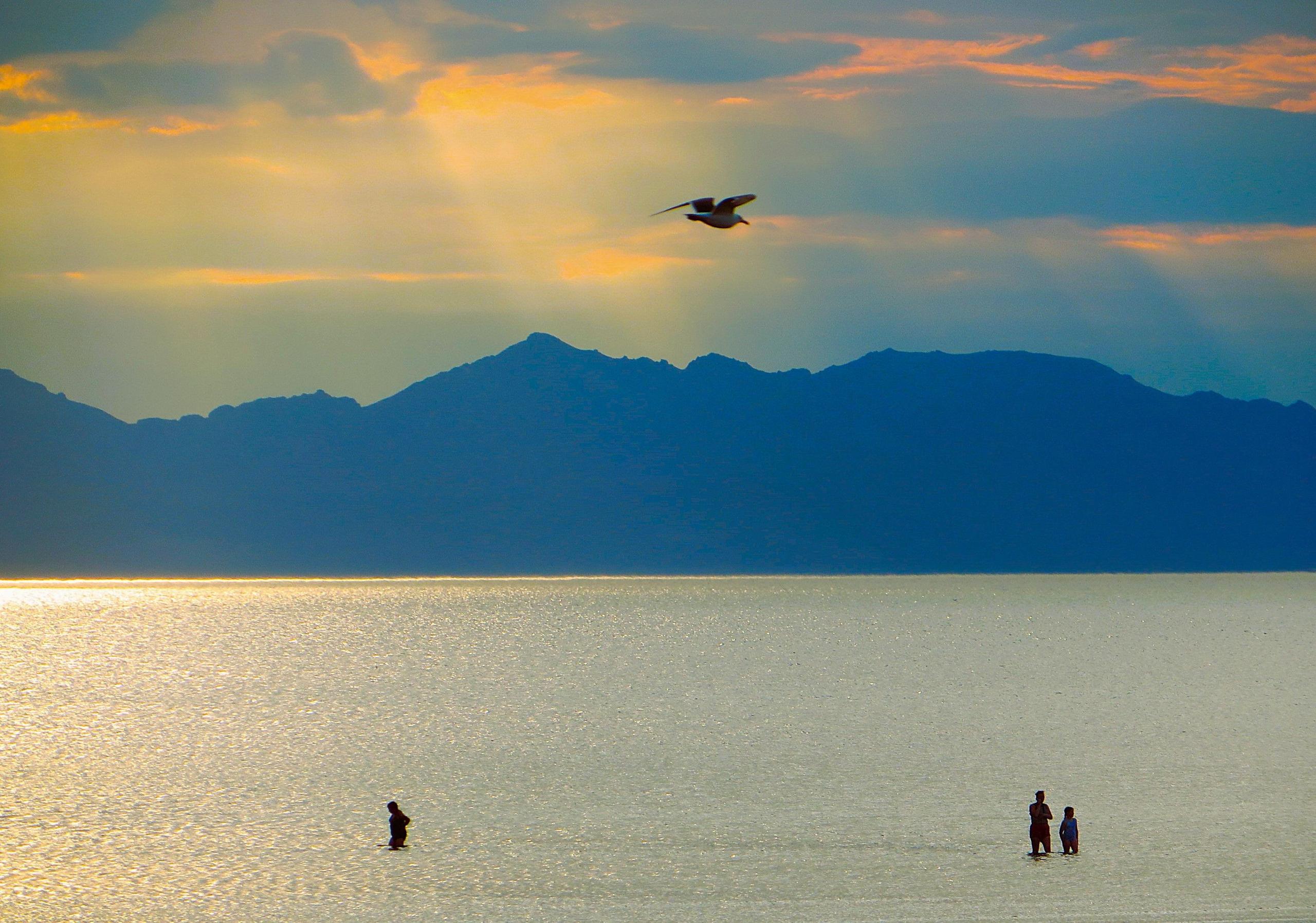 Three people in the distance, standing in water at a bay, on a  sunny day with a bird flying in the sky