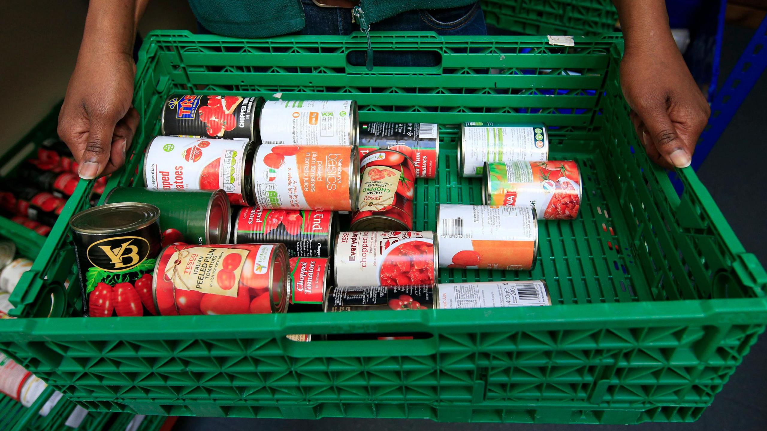A shot looking down on a plastic green crate full of various brands of tinned tomatoes being held by someone, though you can only see their hands.