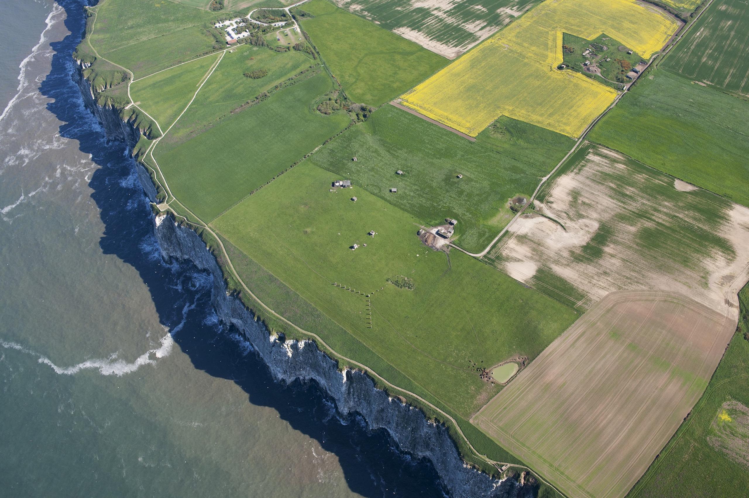 Bempton cliffs and fields