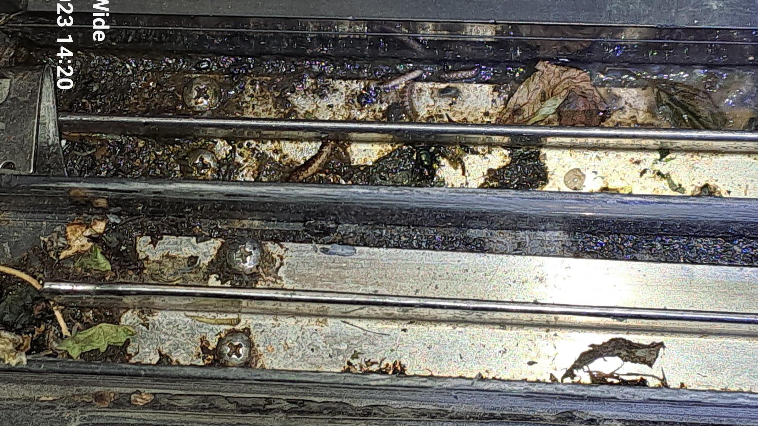 The bottom of a fridge door, with leaves, mud and insects seen caking the inside. 